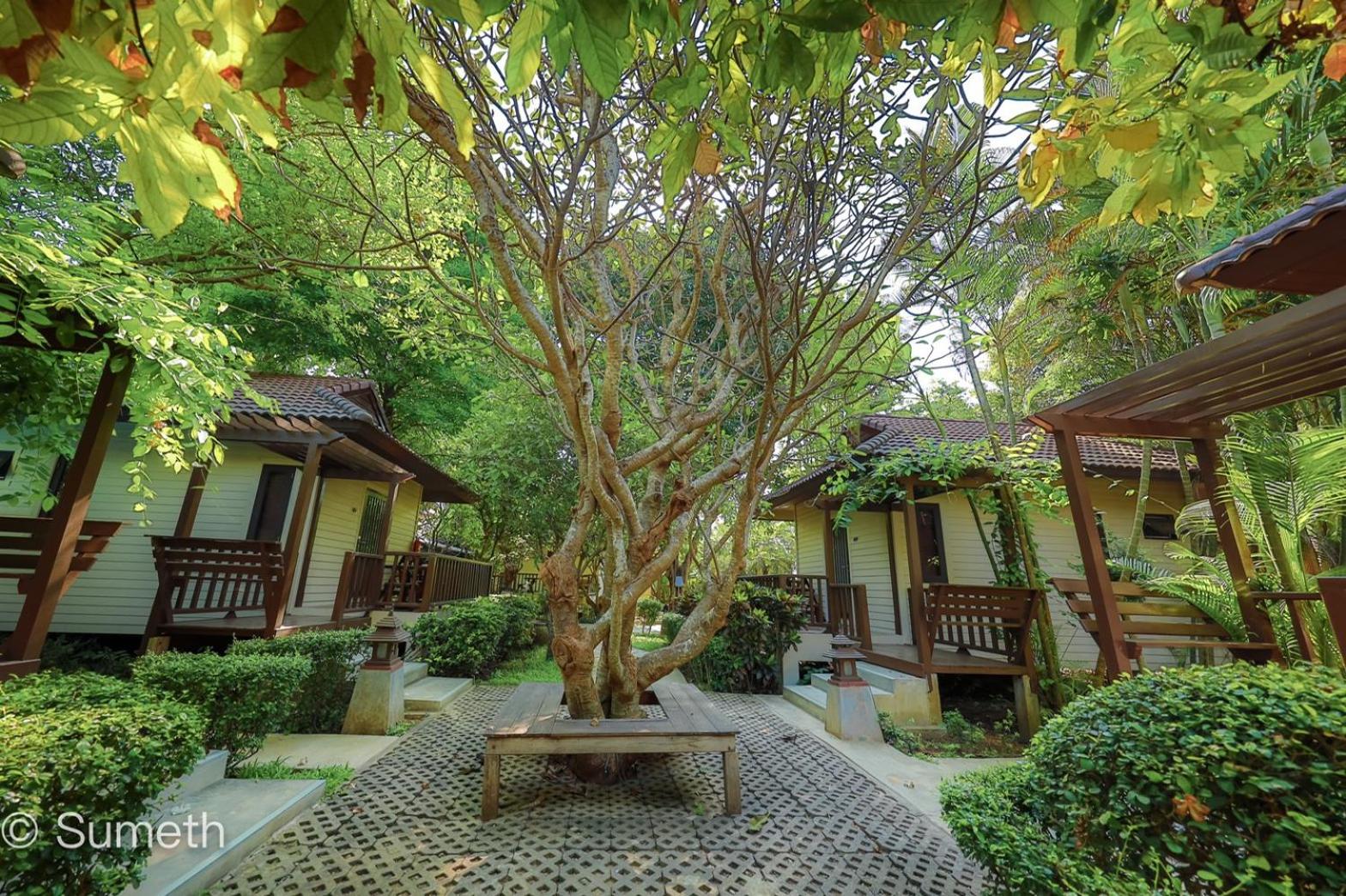Villa with Garden View - Photo 4
