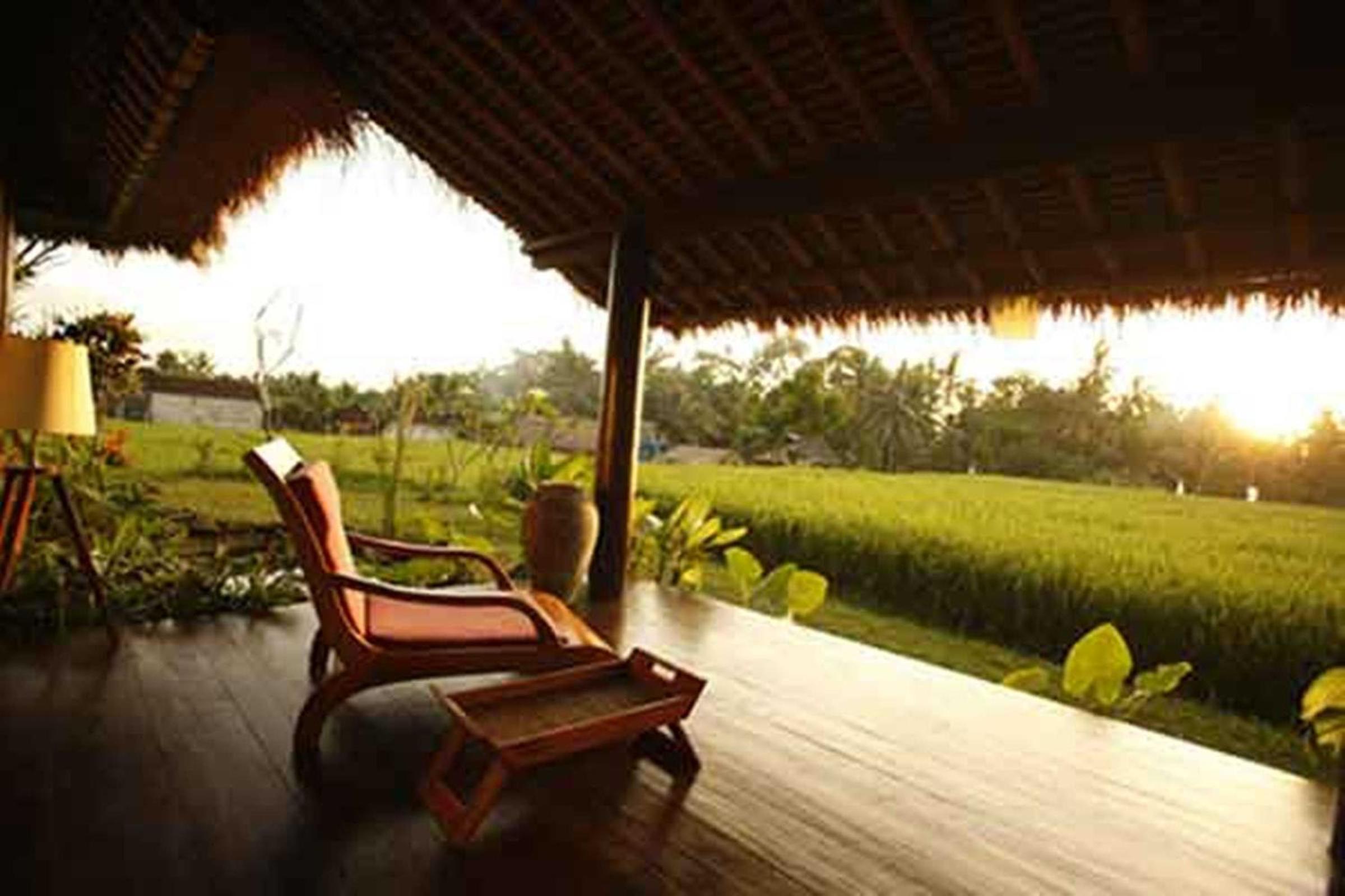 Family Bungalow - Photo 12
