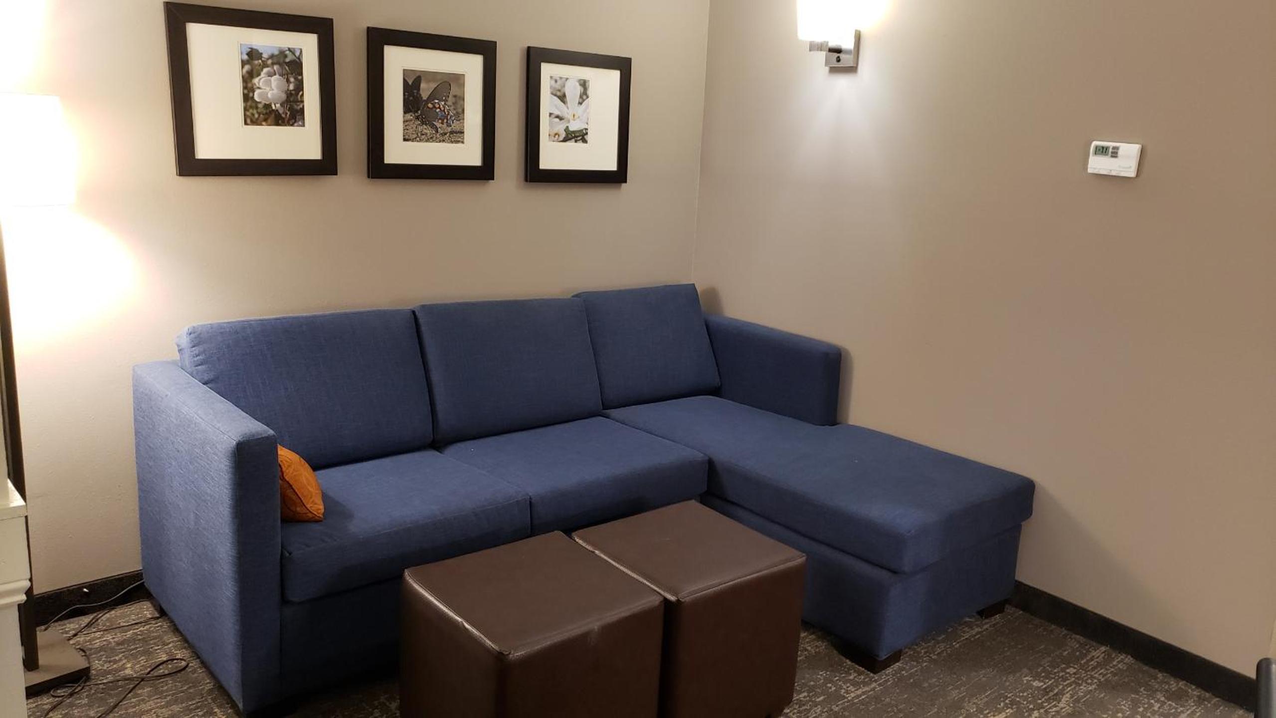 King Suite with Sofa Bed - Accessible - Photo 2