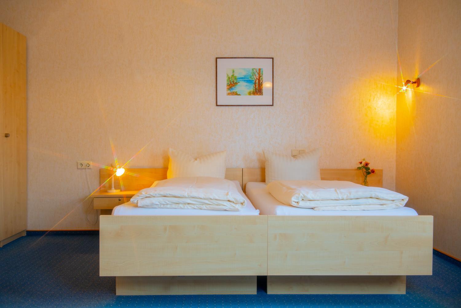 Deluxe Double or Twin Room photo 2