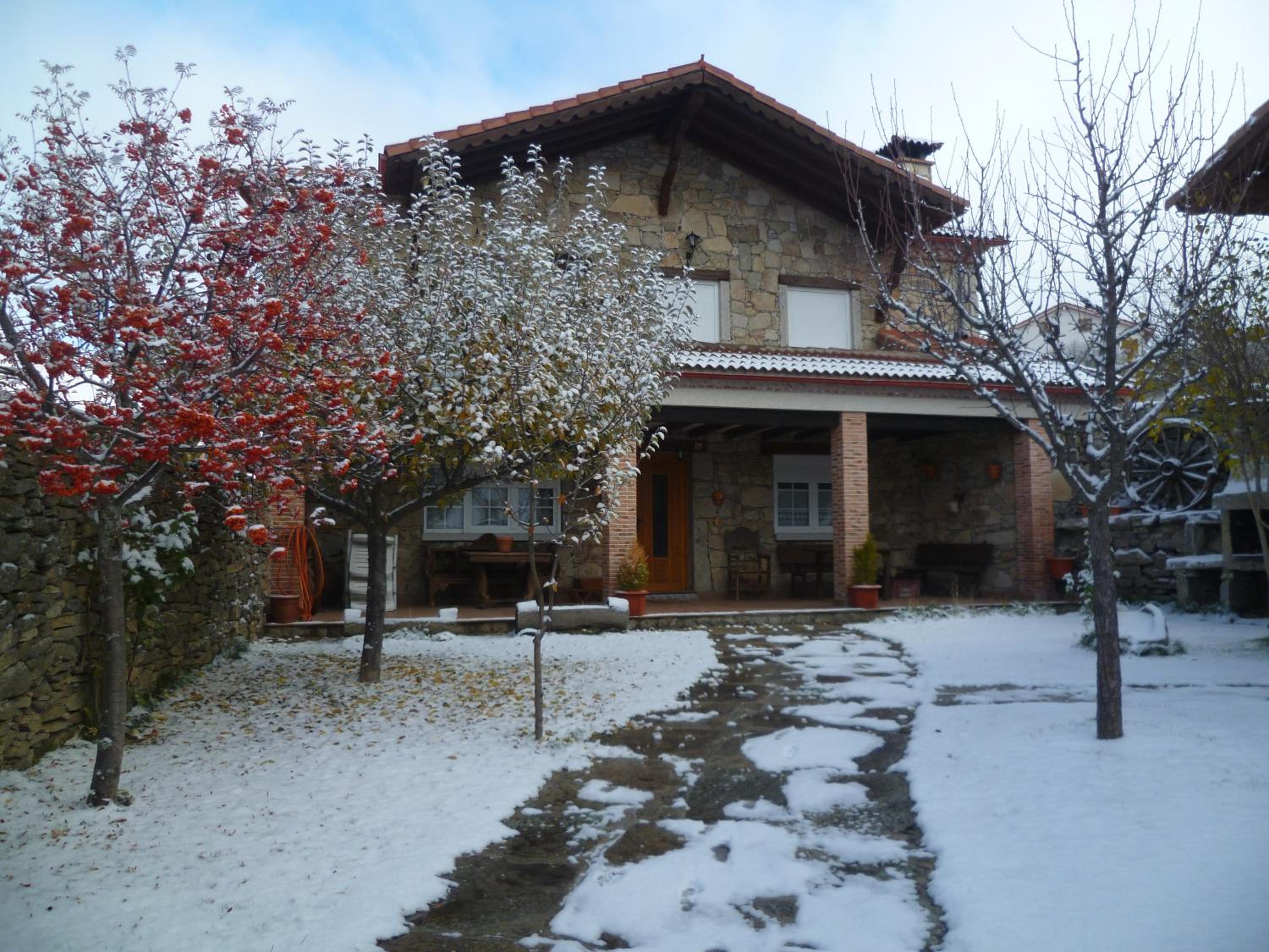 Four-Bedroom House photo 3