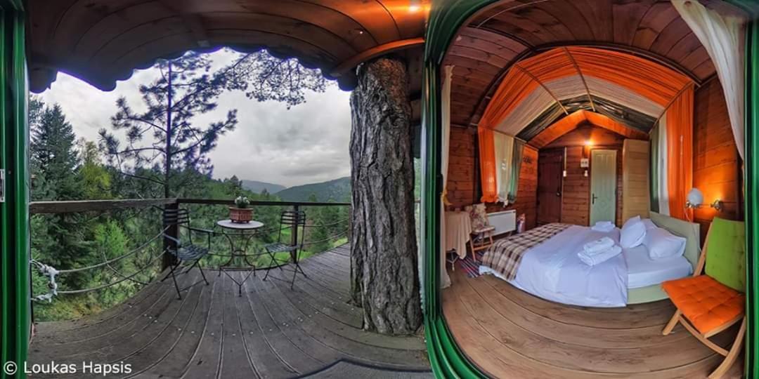 Treehouse photo 2