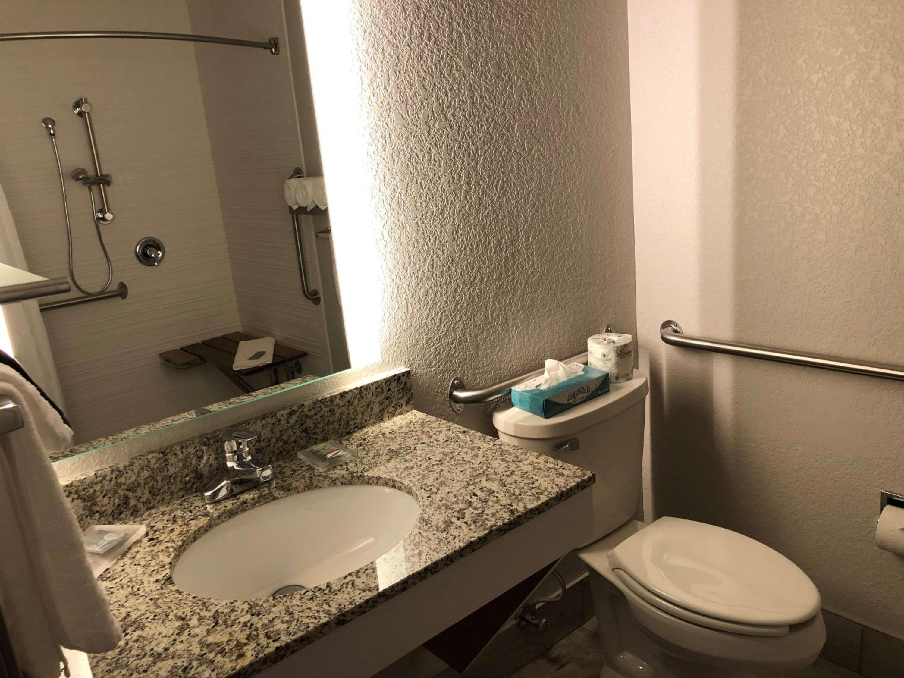 Queen Room with Mobility Accessible Roll-In Shower/Pet-Friendly