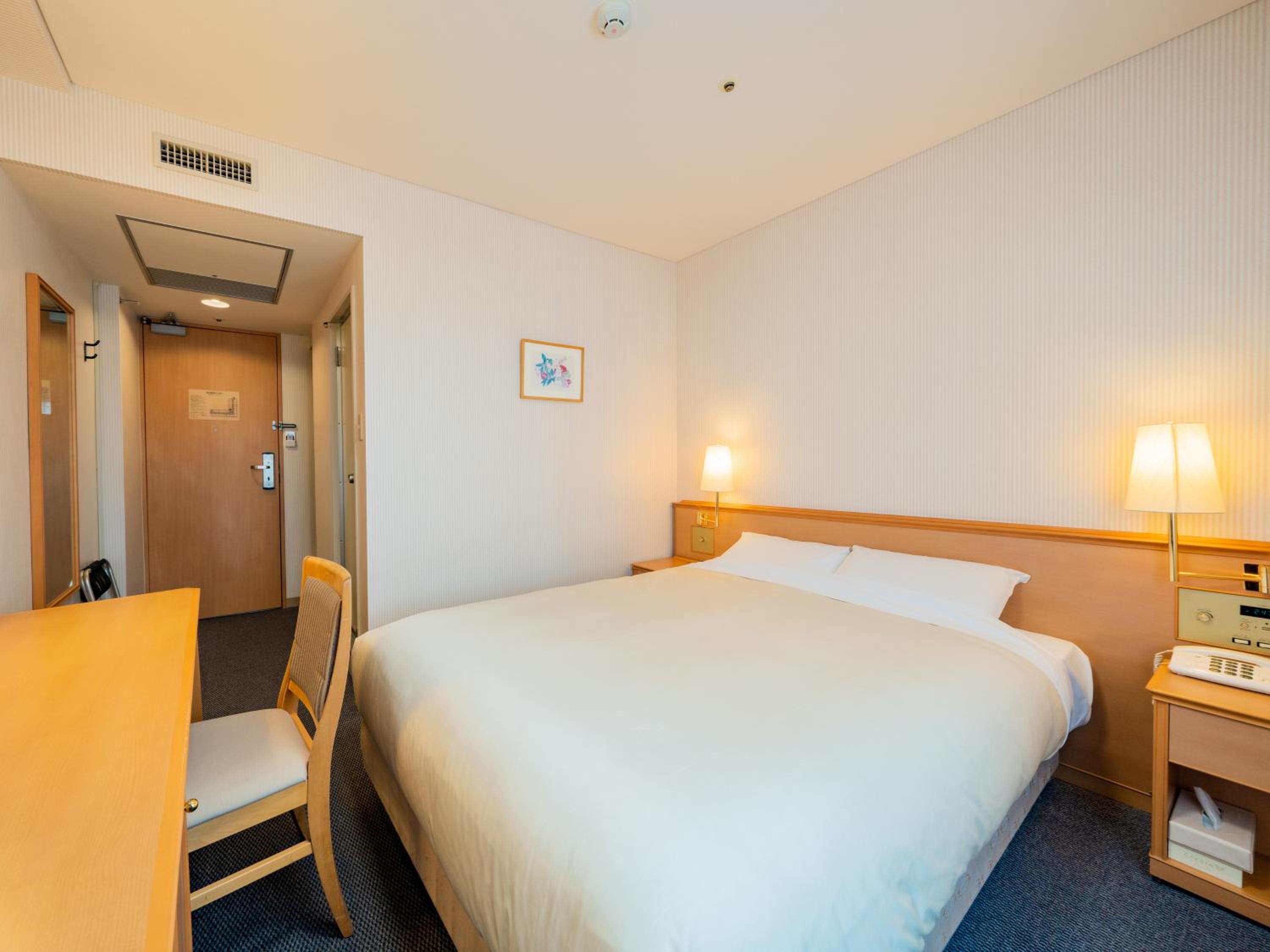Double Room - Non-Smoking 
