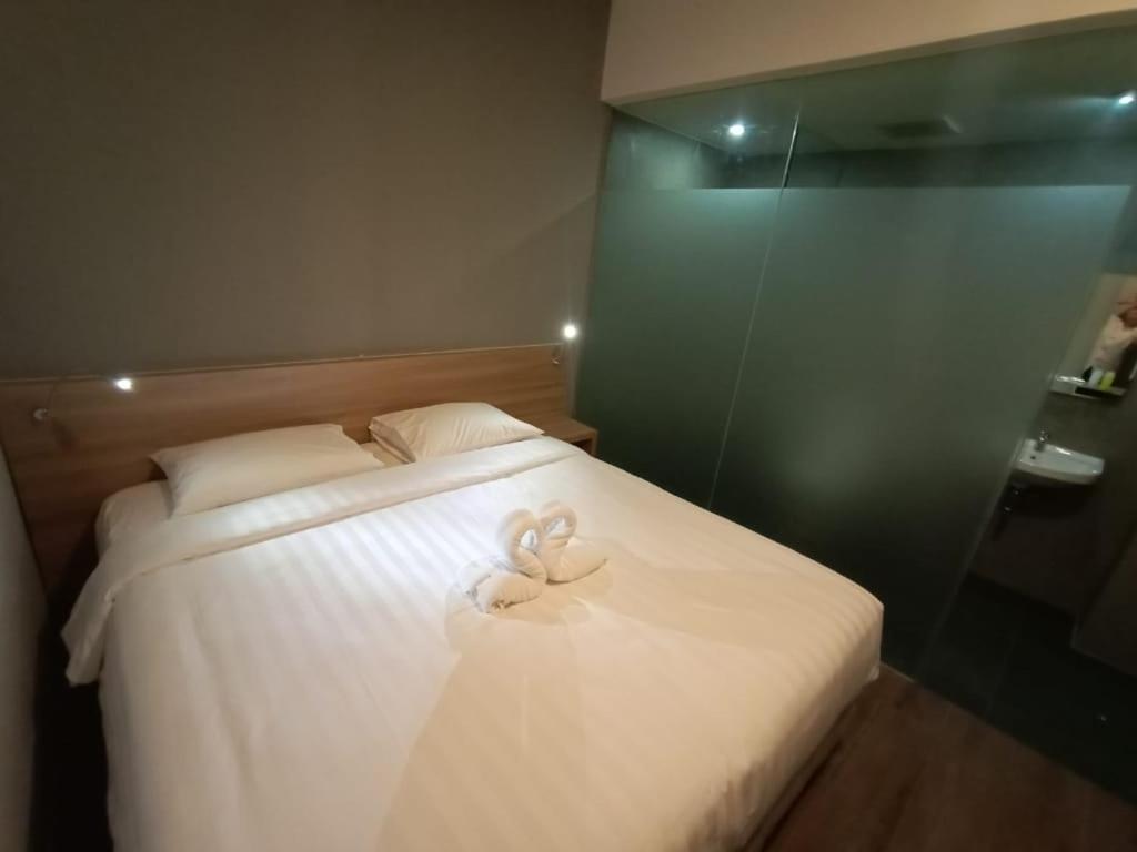 Standard Twin Room - Photo 2