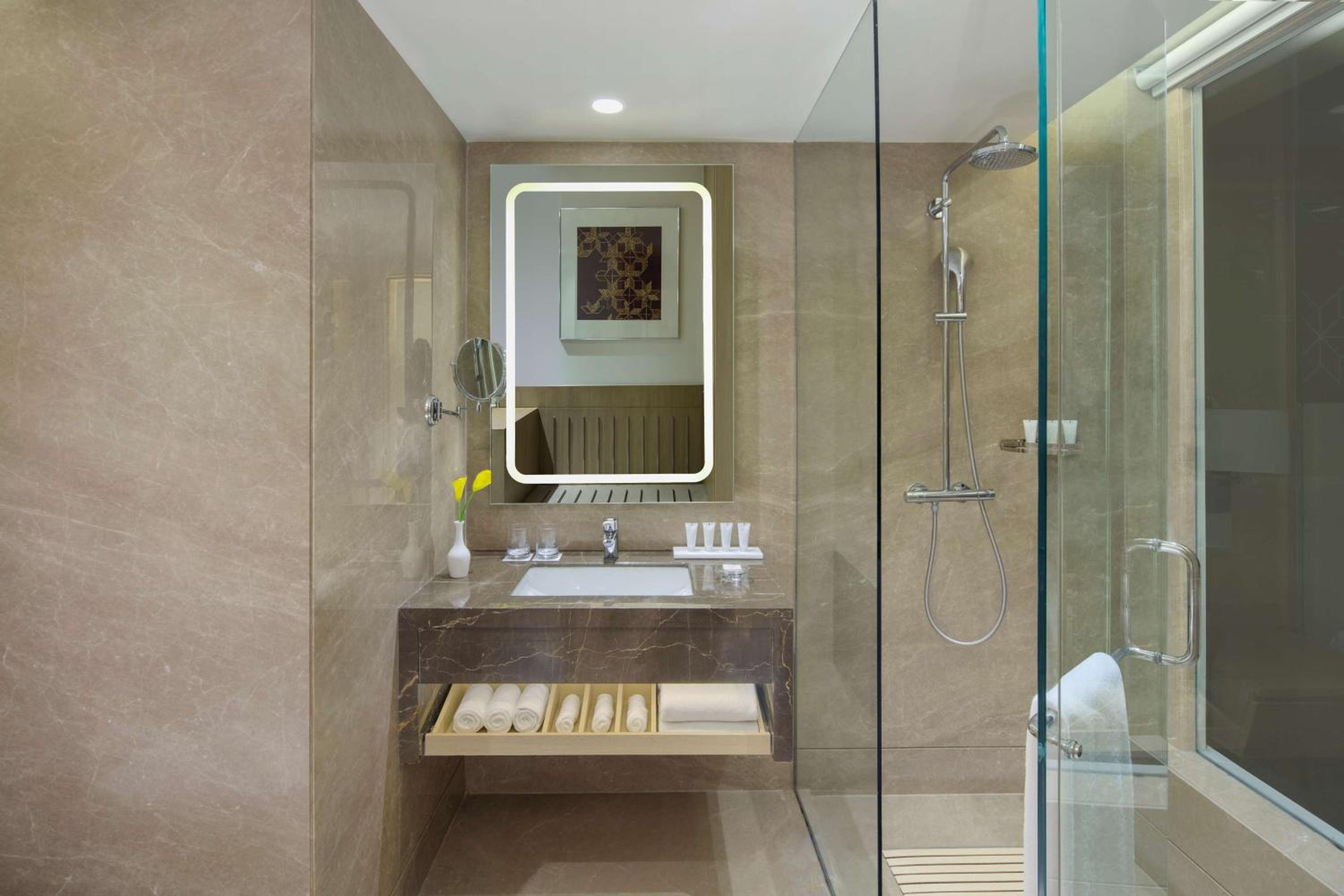Deluxe Room with 15% Discount on Food & Beverages, 1+1 IMFL Happy Hours, 15% Discount on Spa, Early Check-in by 11 AM & Late check-out by 3 PM (Subject to availability) & 2 Pieces Laundry (Washing & Ironing) - Photo 8