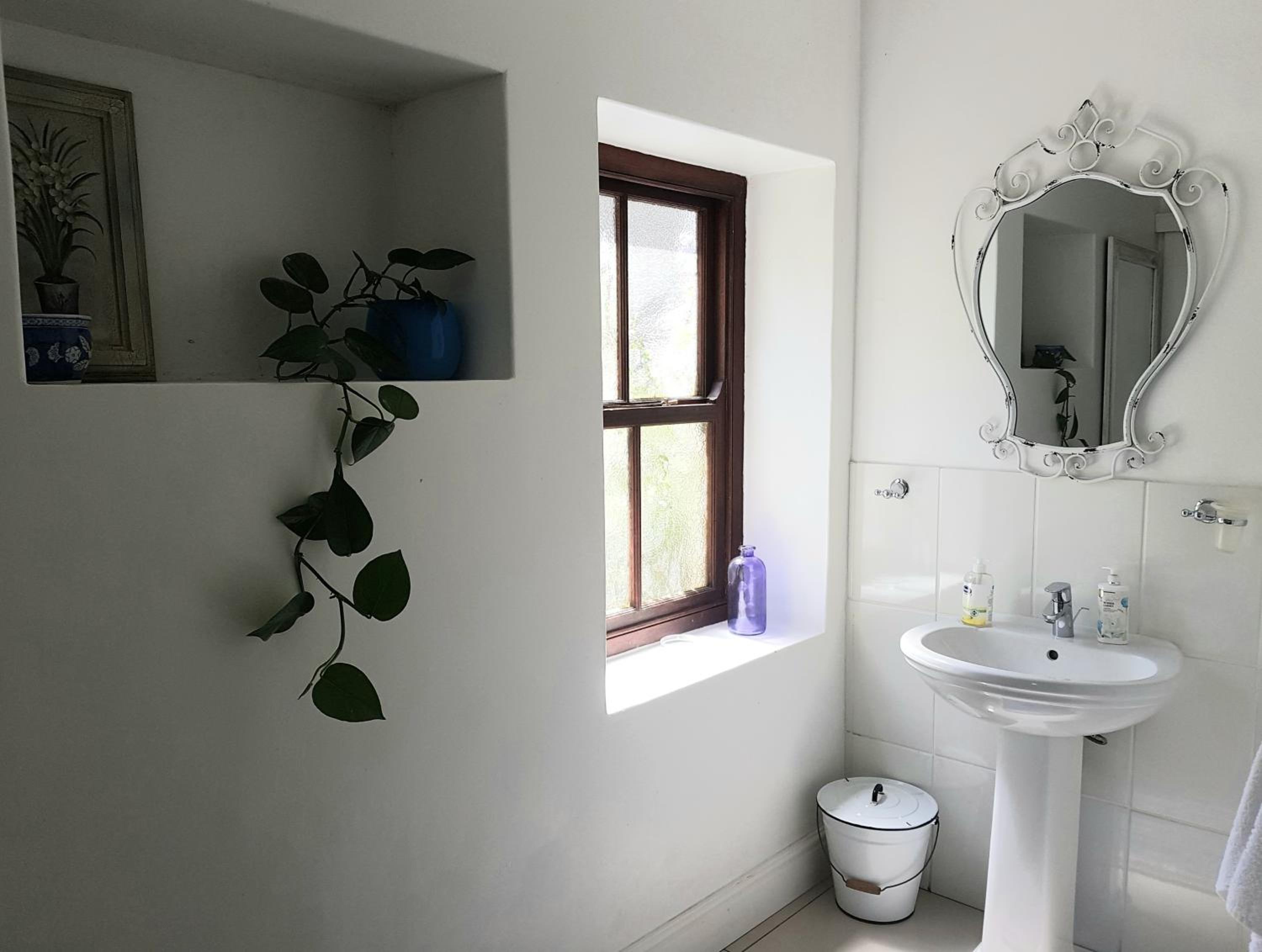 Apartment - Photo 6