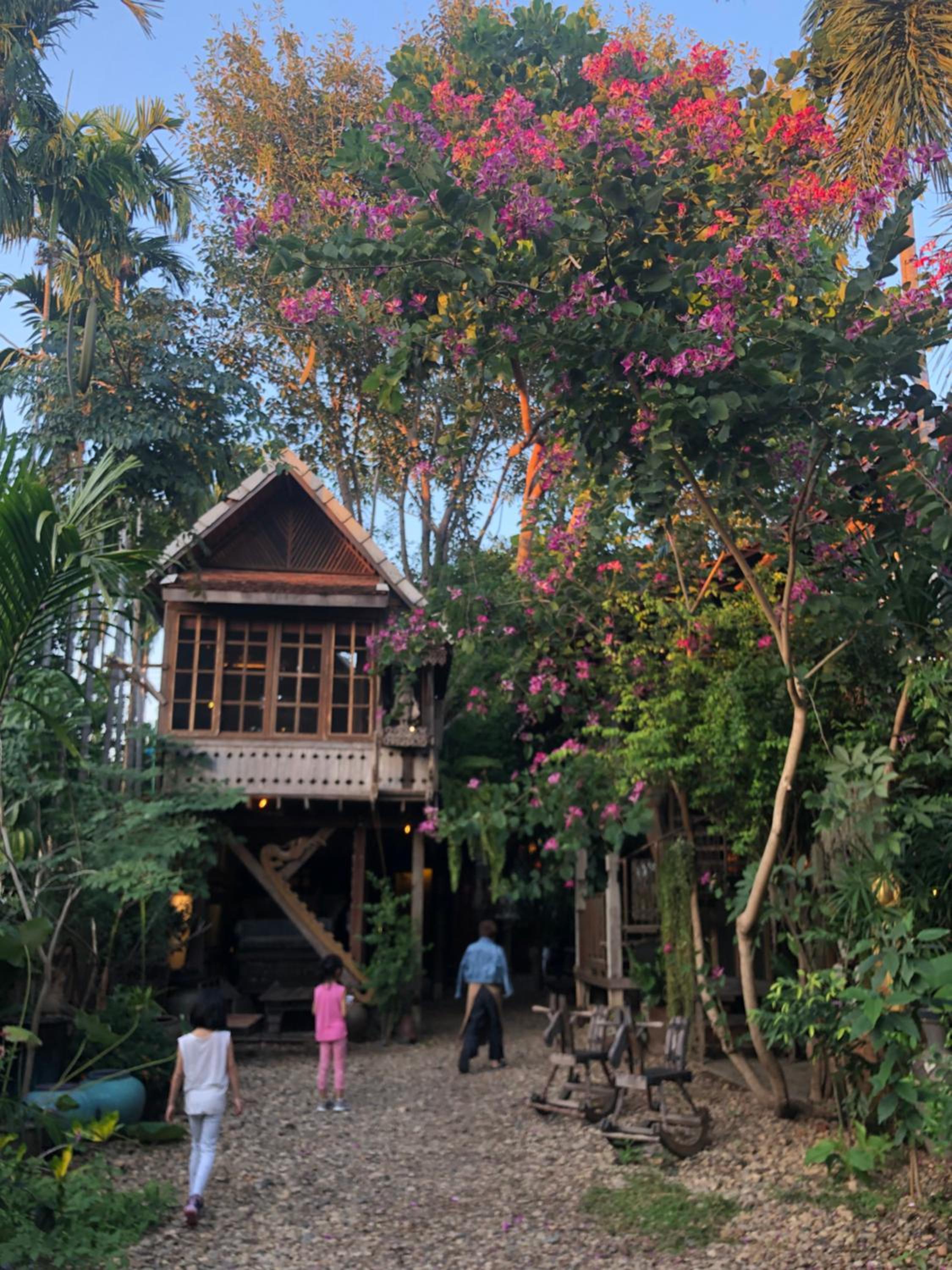 Tree House In The City Plus Lanna Herbal Steam - Photo 14