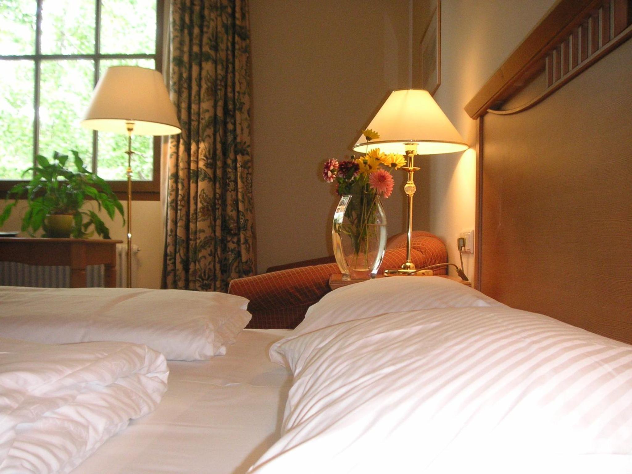 Double Room with Lake View photo 1