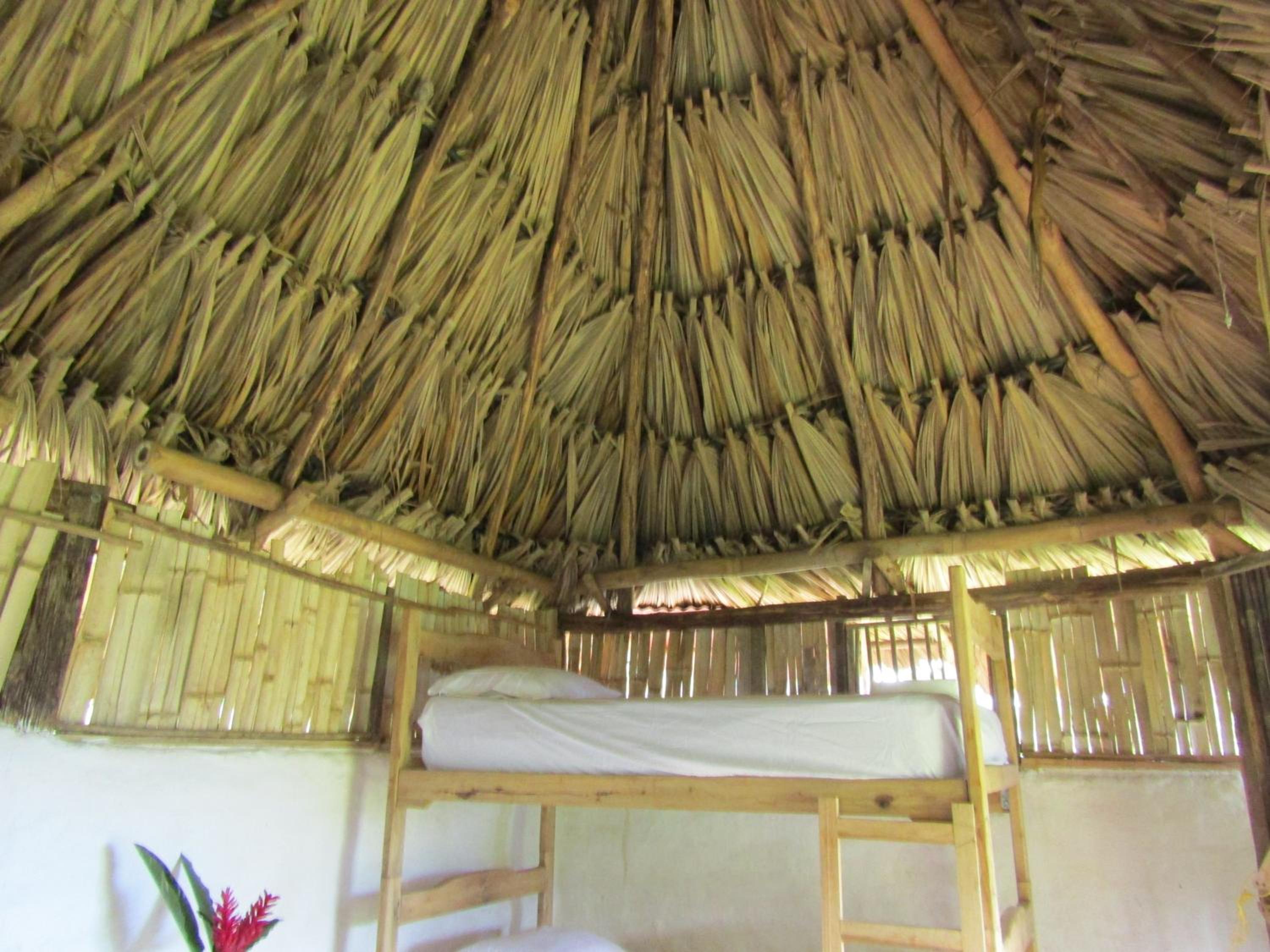 Family Bungalow photo 3