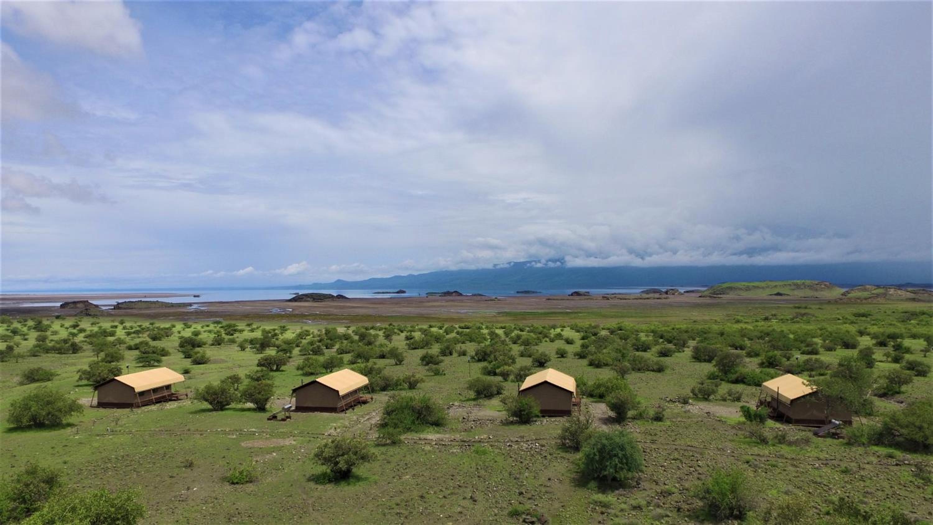 Safari Luxury Accommodations - Photo 8