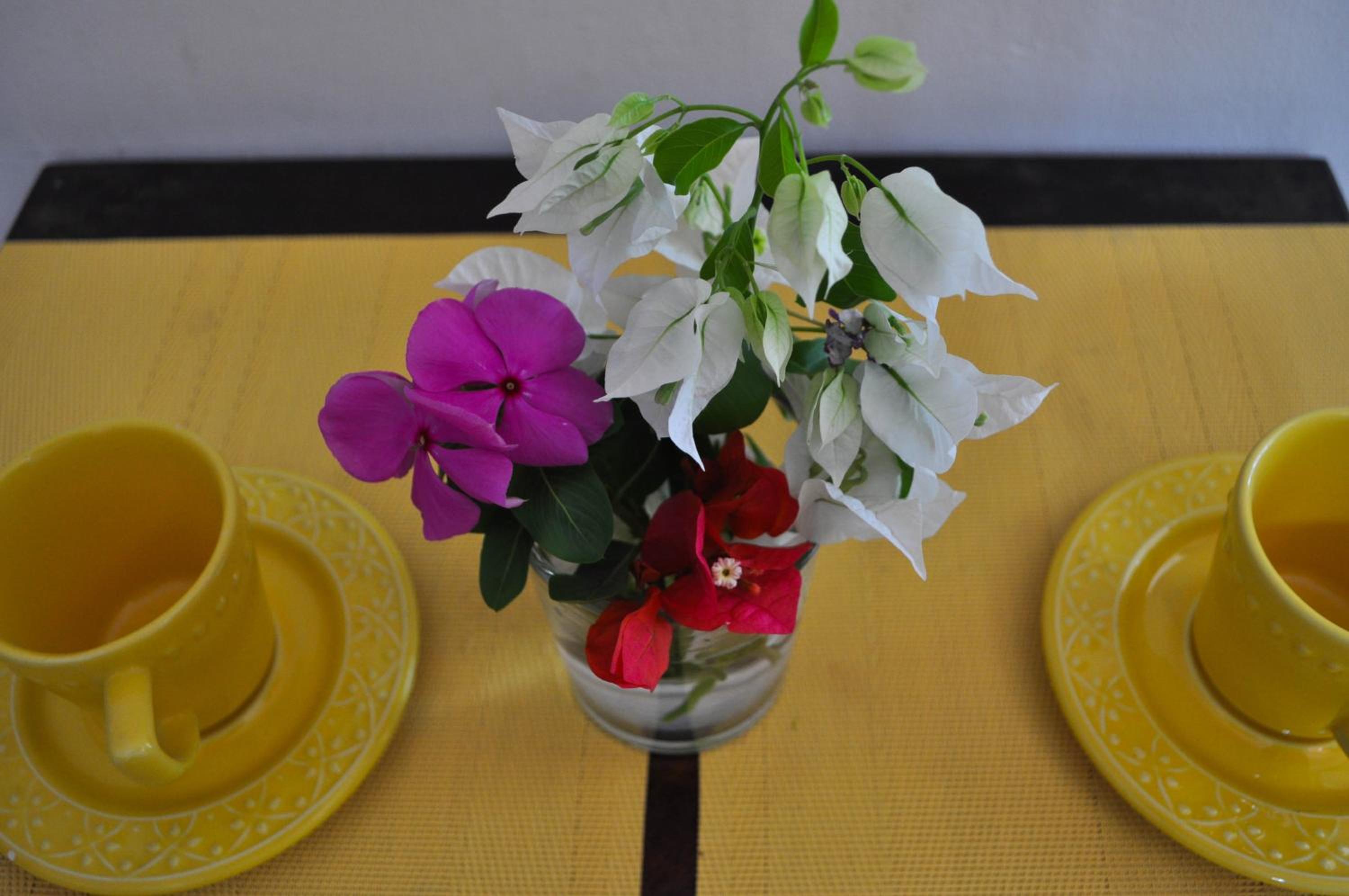 Standard Apartment - Photo 10
