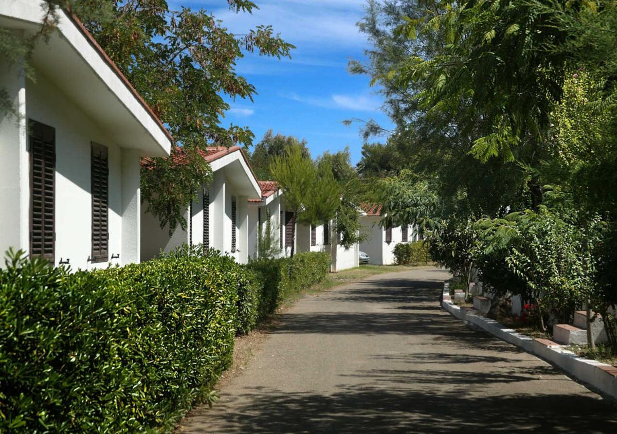 Standard Bungalow