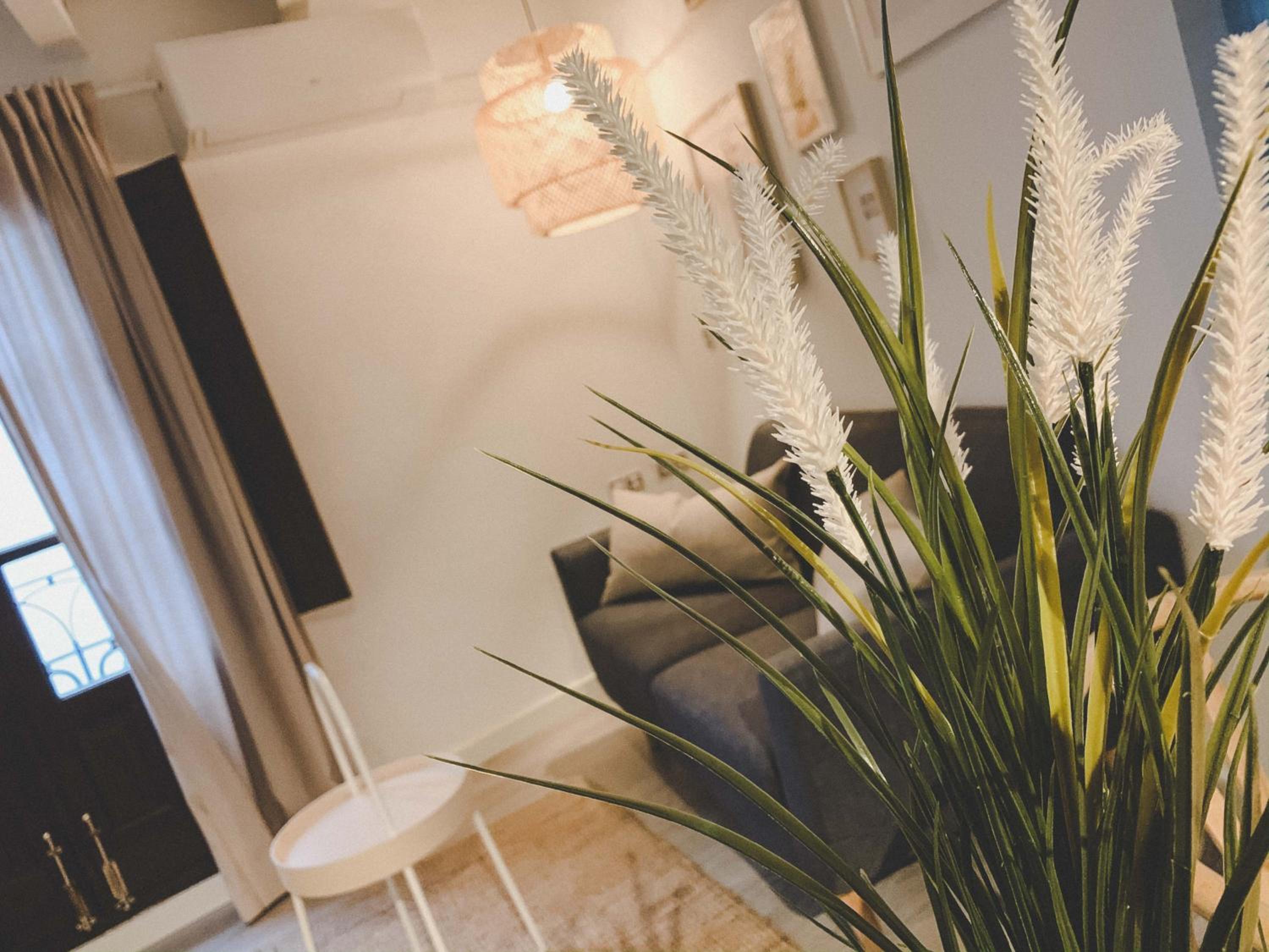 Apartamento Estándar