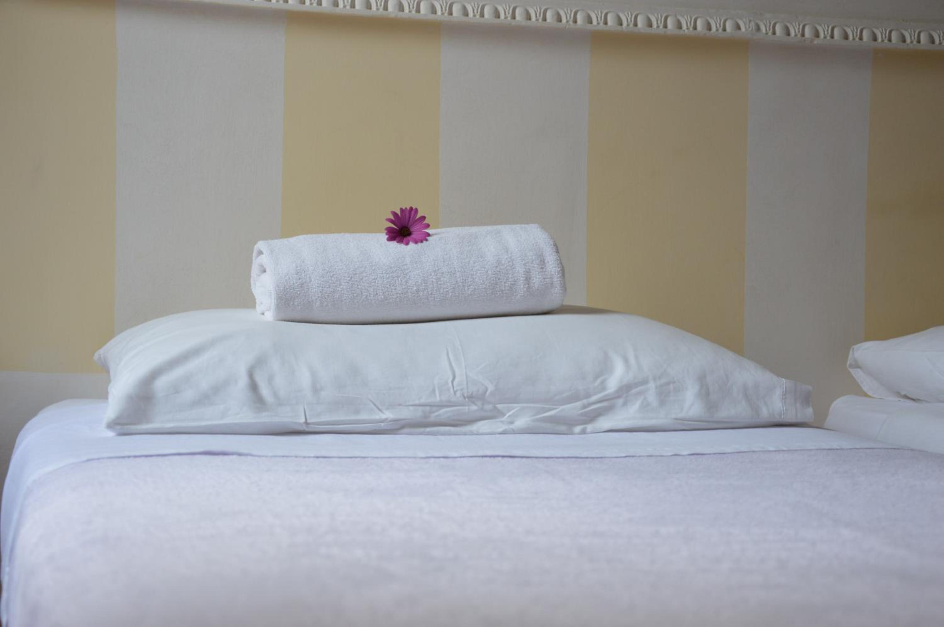 Deluxe Double or Twin Room photo 2