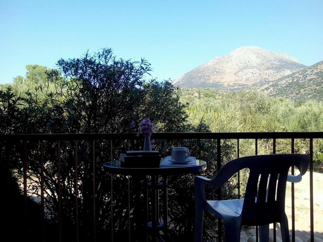 Standard Twin Room with Mountain View - Photo 3