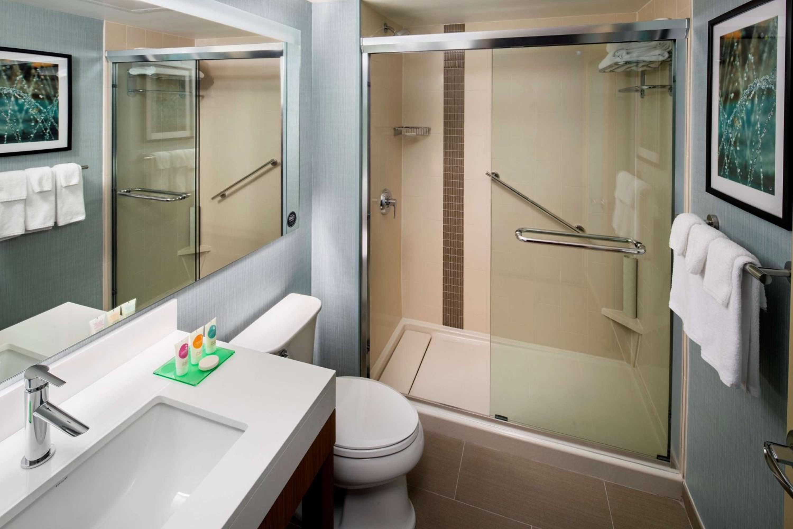 King Room with Roll-In Shower - Disability Access