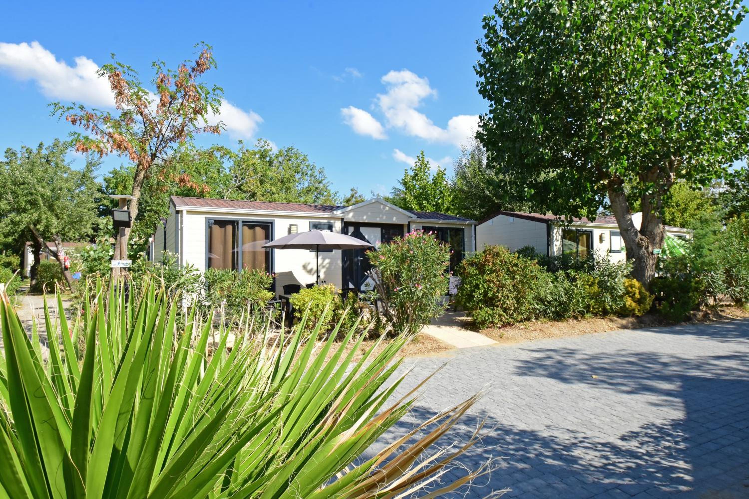 Mobile Home photo 2