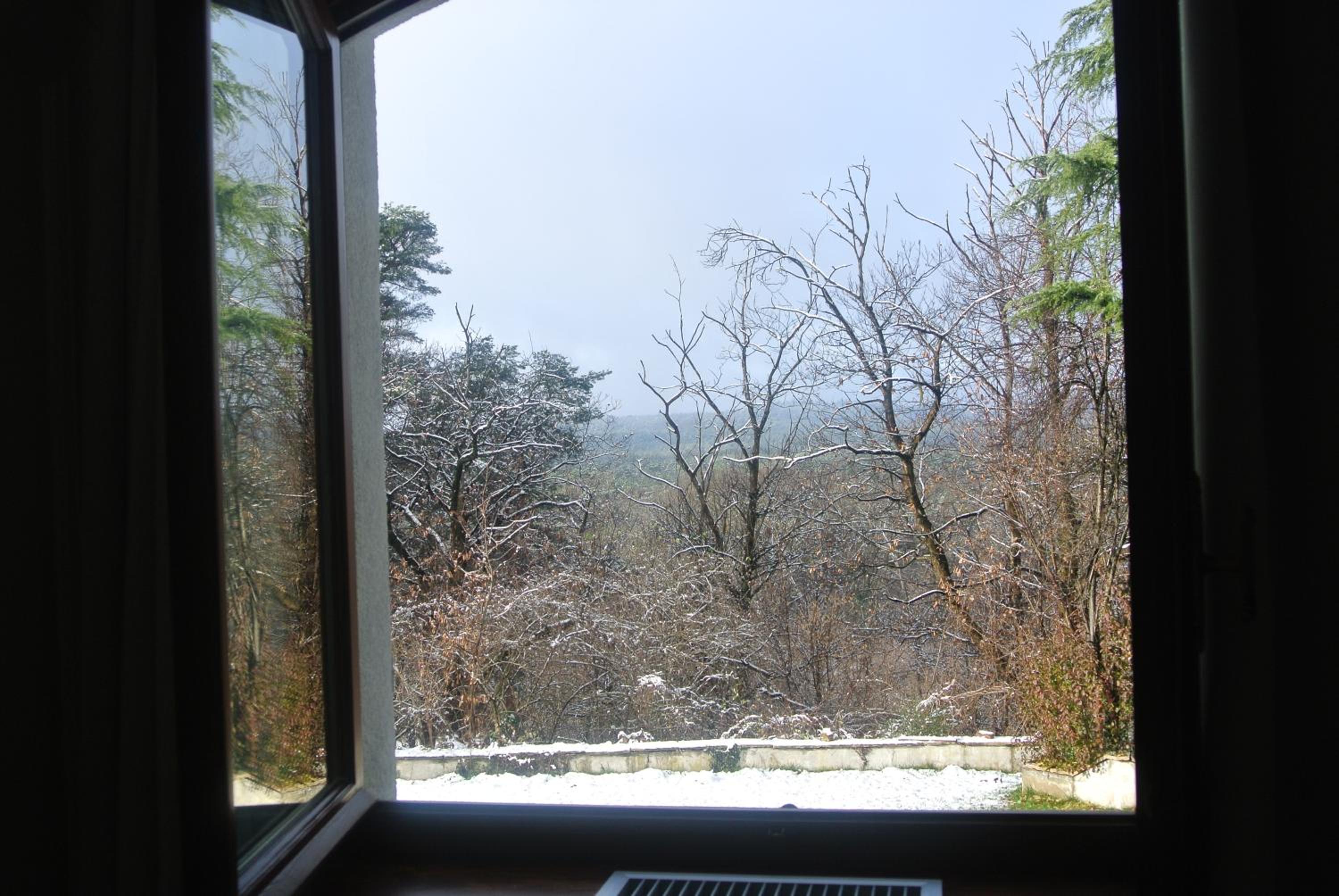 Deluxe Double or Twin Room with Mountain View - Photo 2
