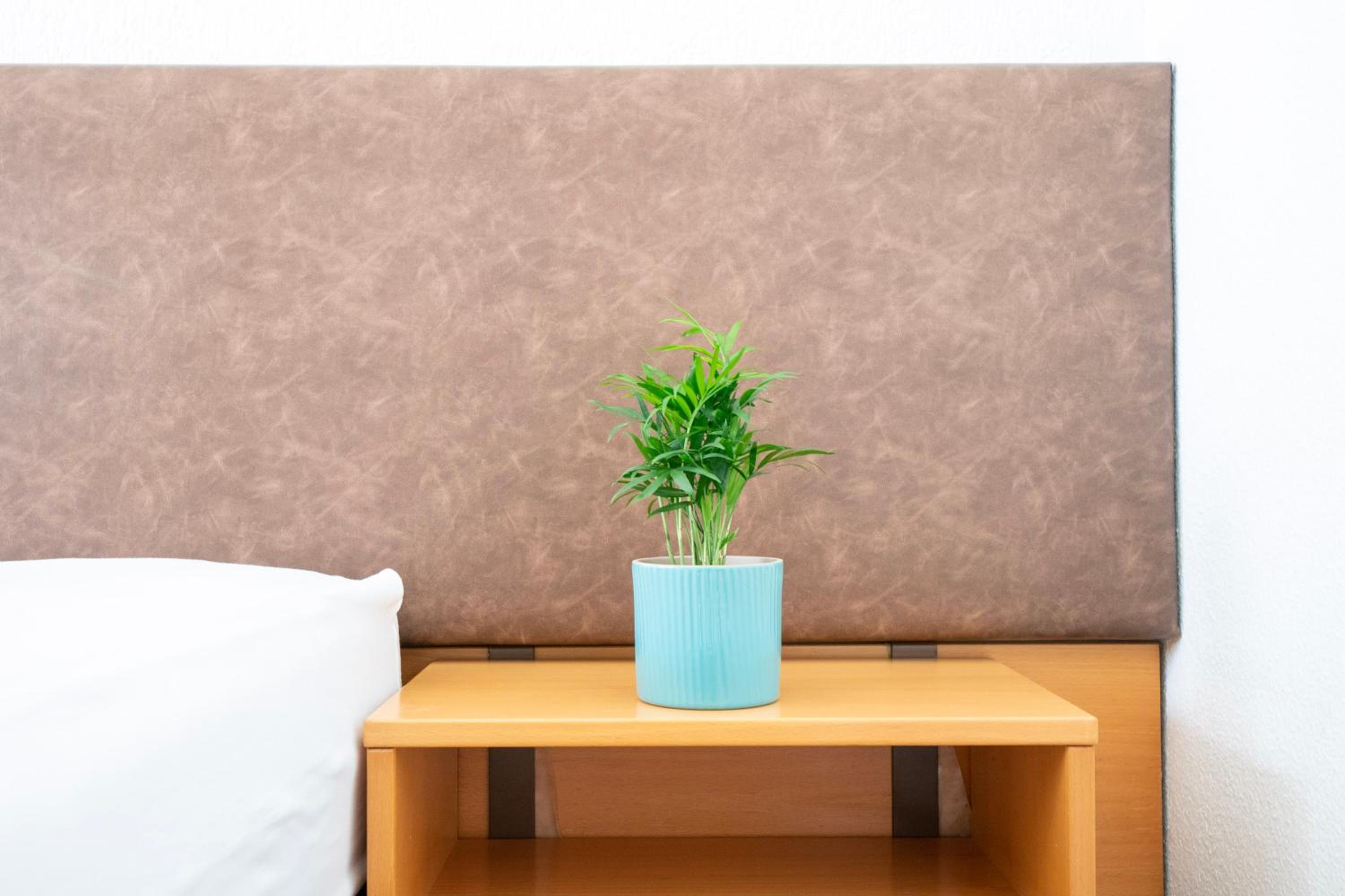 Double Room - Photo 6