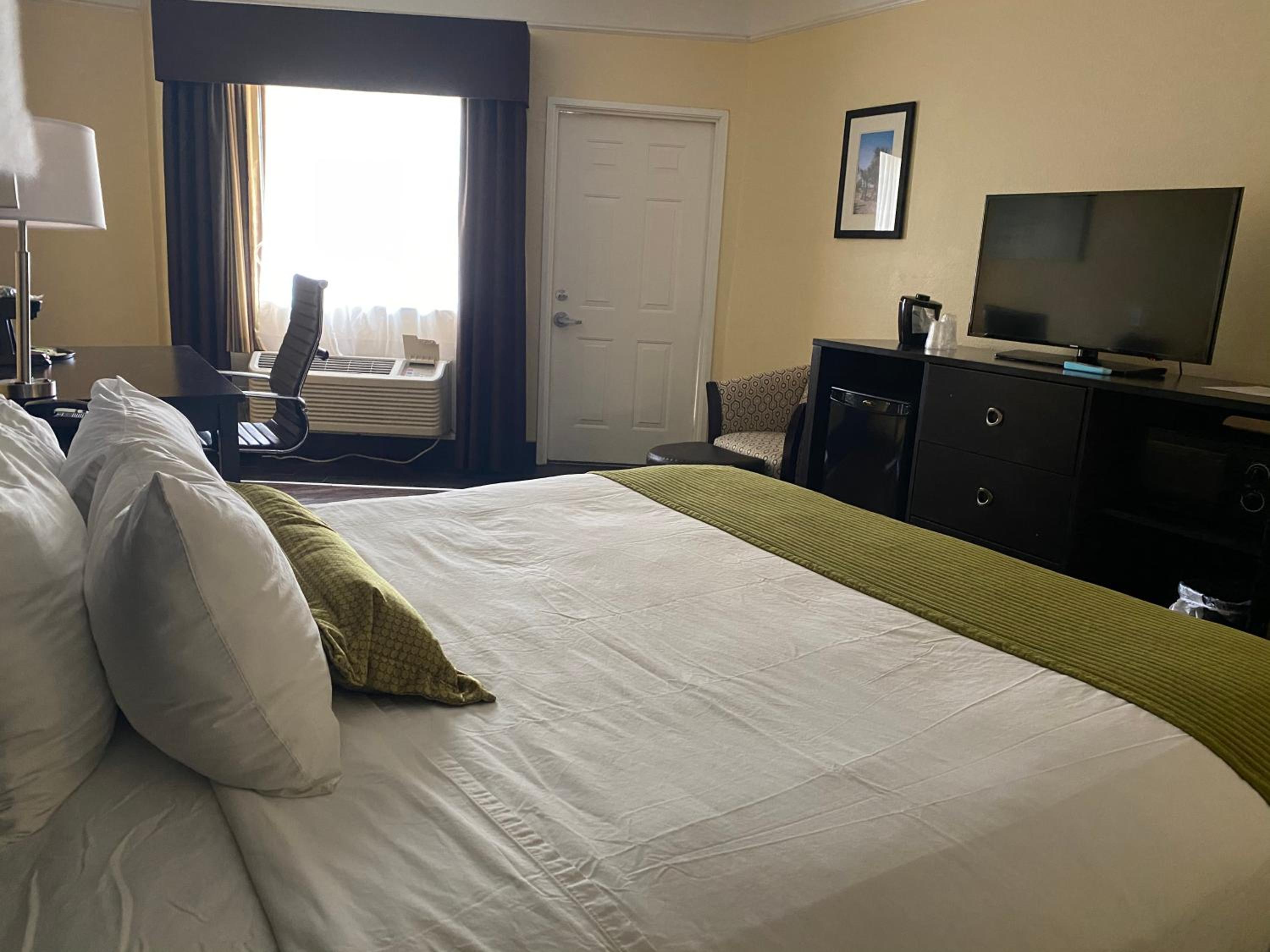 Single Room - Disability Access photo 2