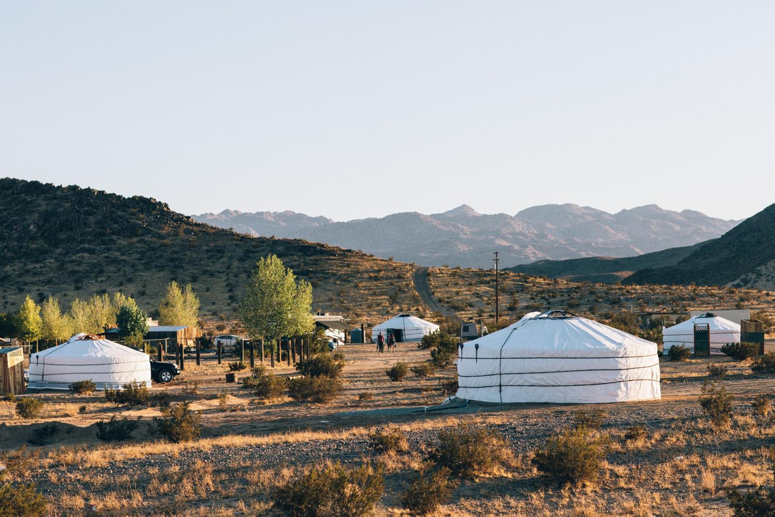 Stargazing Yurt No.1  - Photo 11