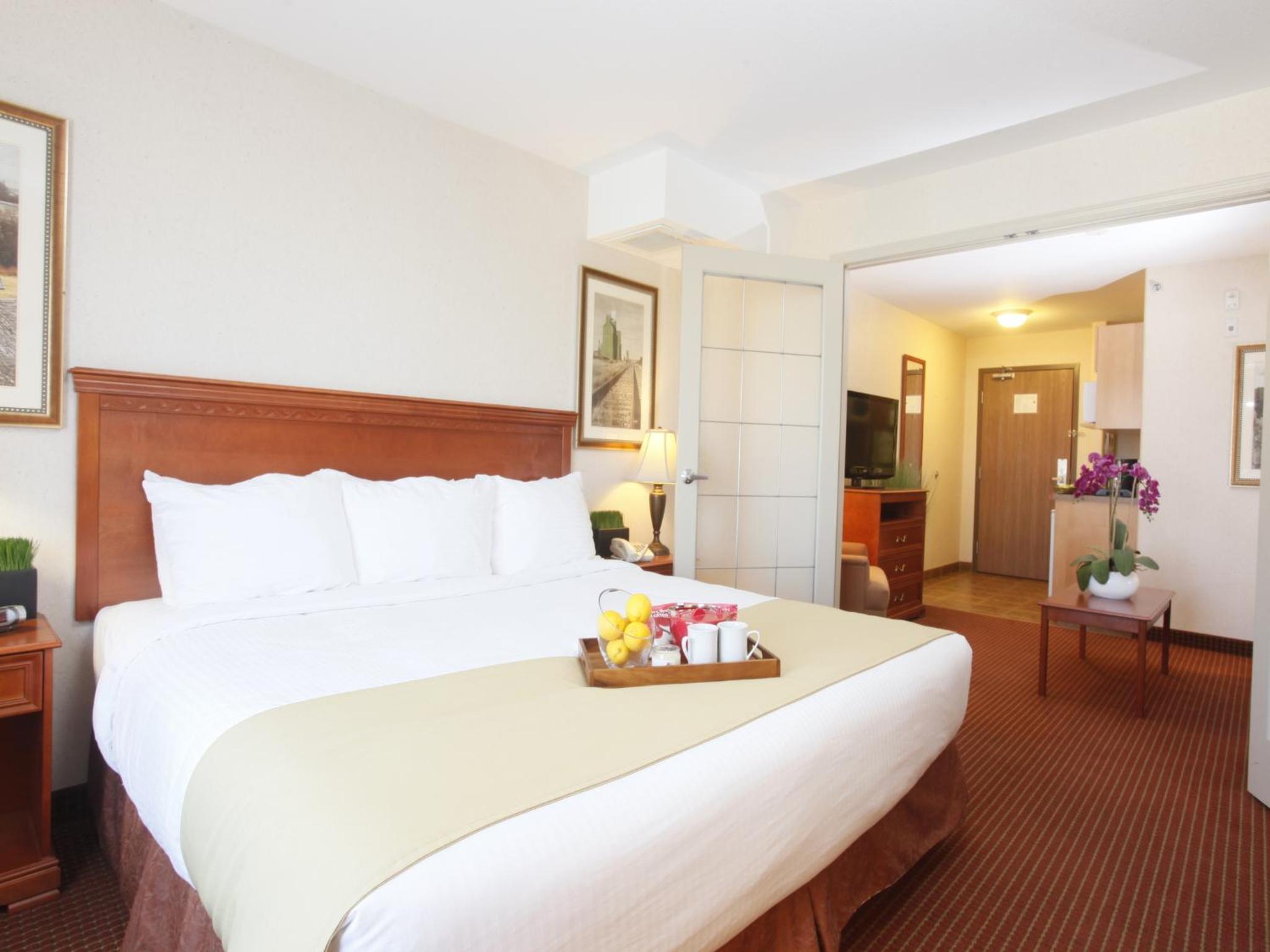 King Suite with Sofa Bed photo 3