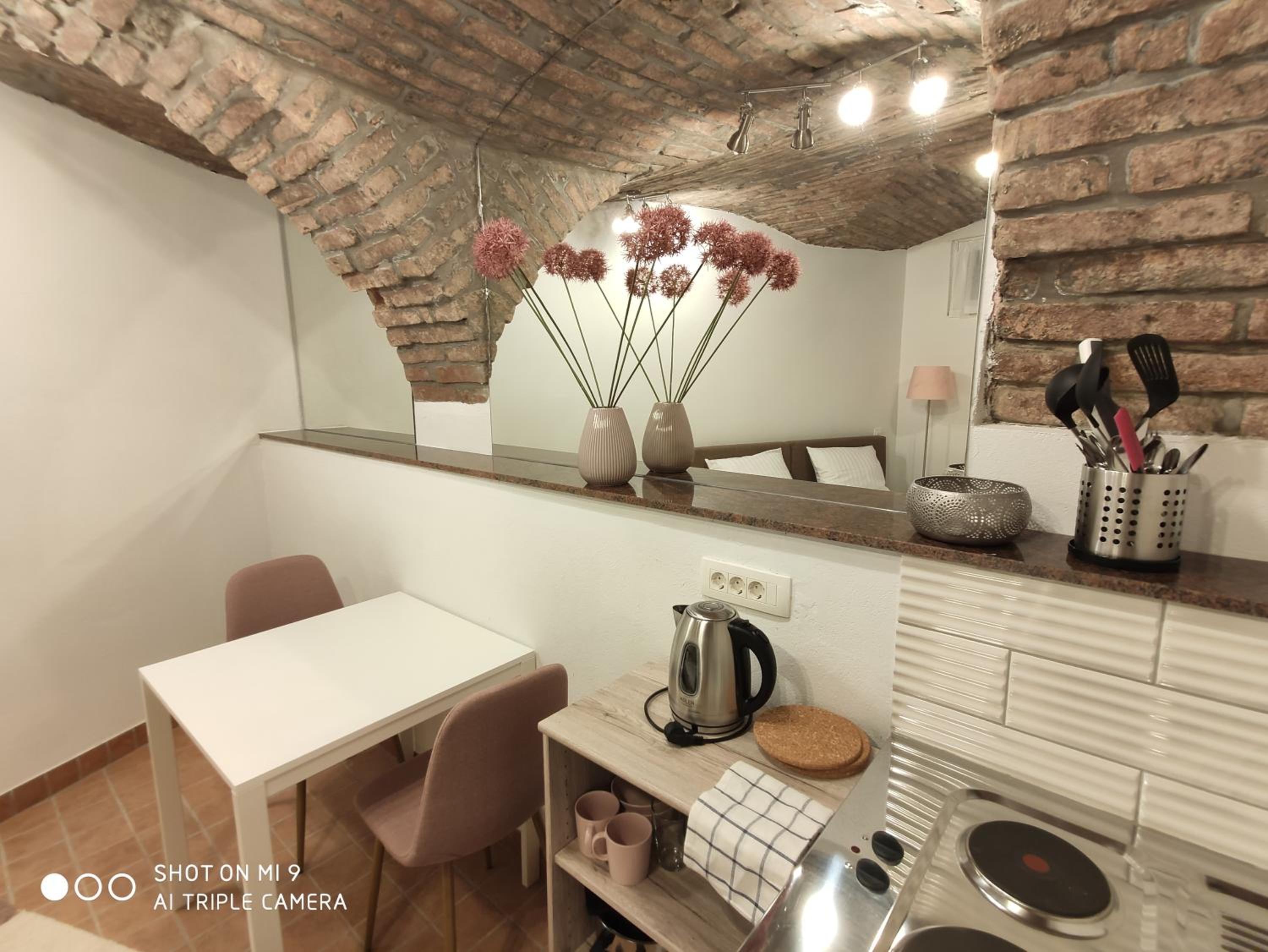 Standard Studio - Basement photo 2
