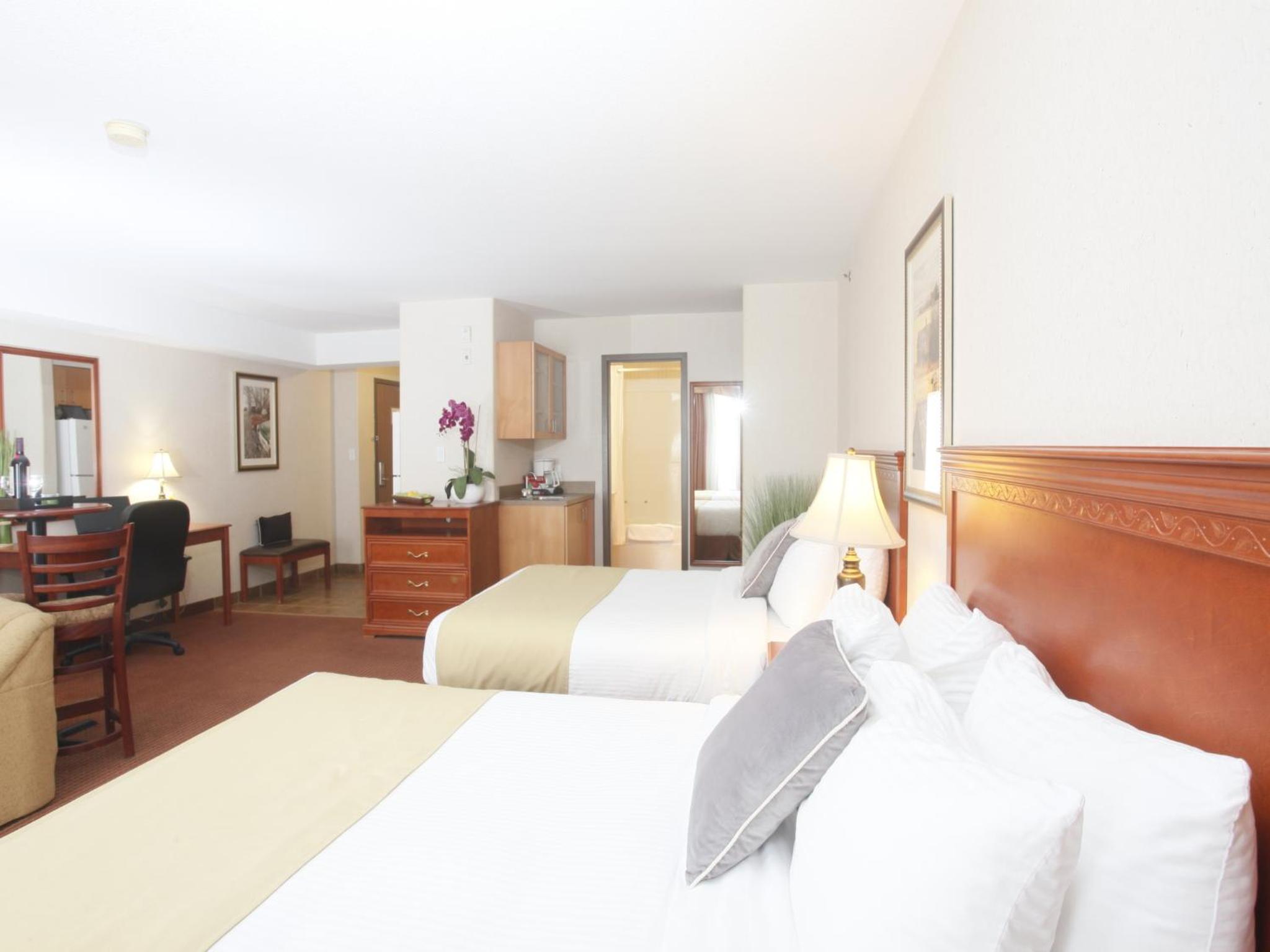 Superior Queen Room photo 1