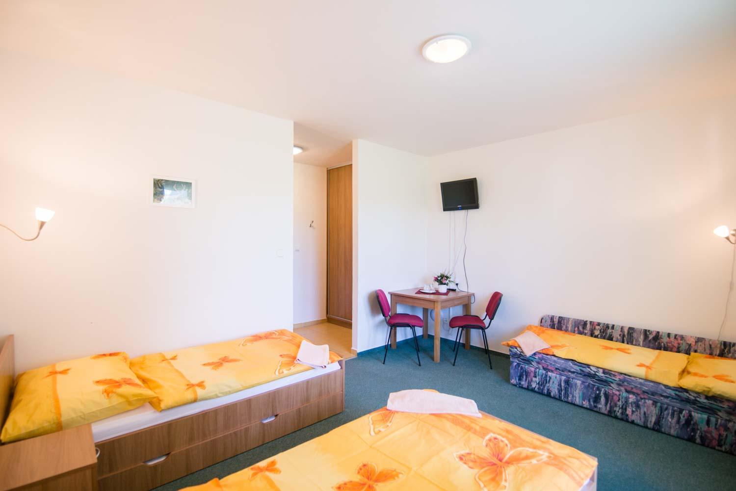 Triple Room with Shower photo 1