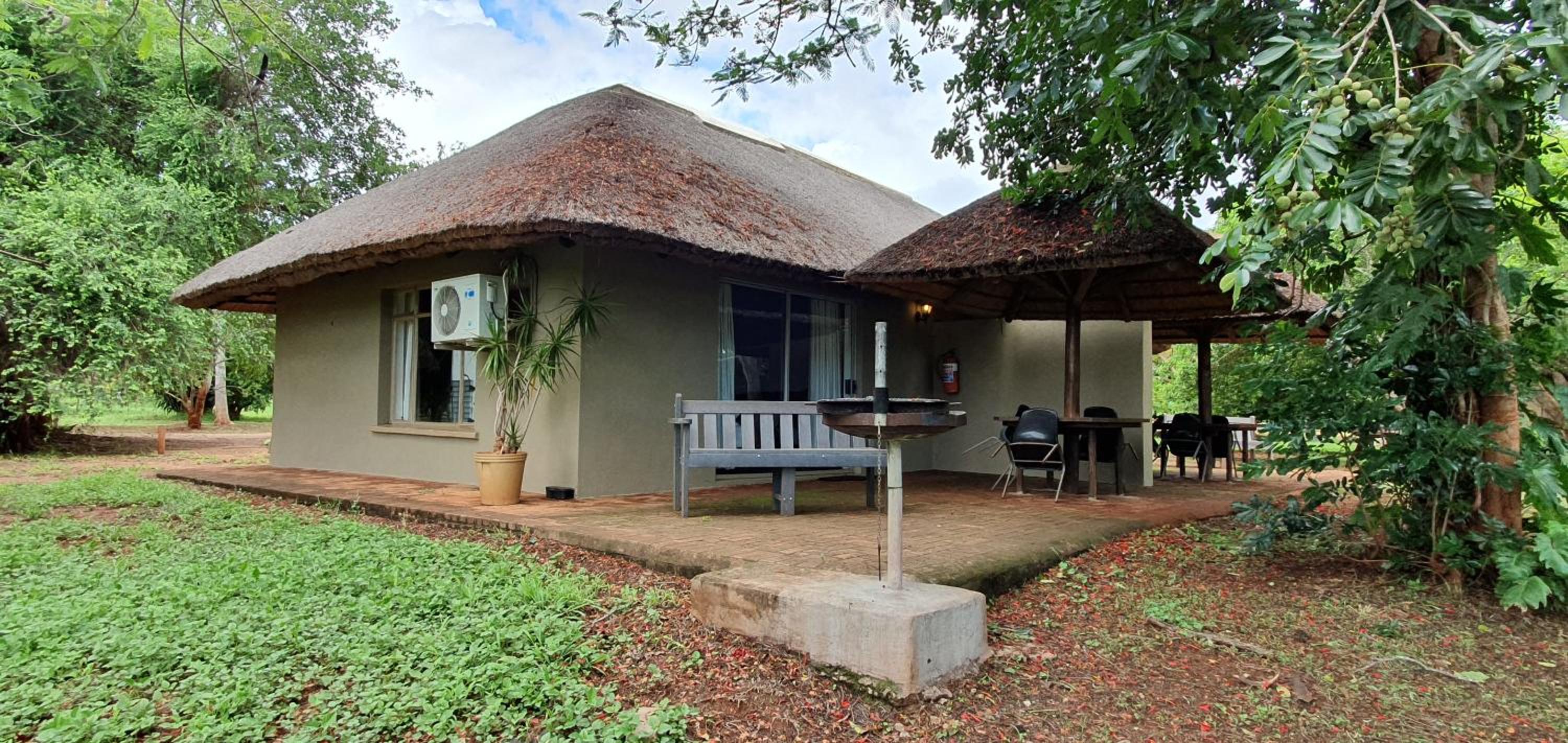 Ingwe photo 2