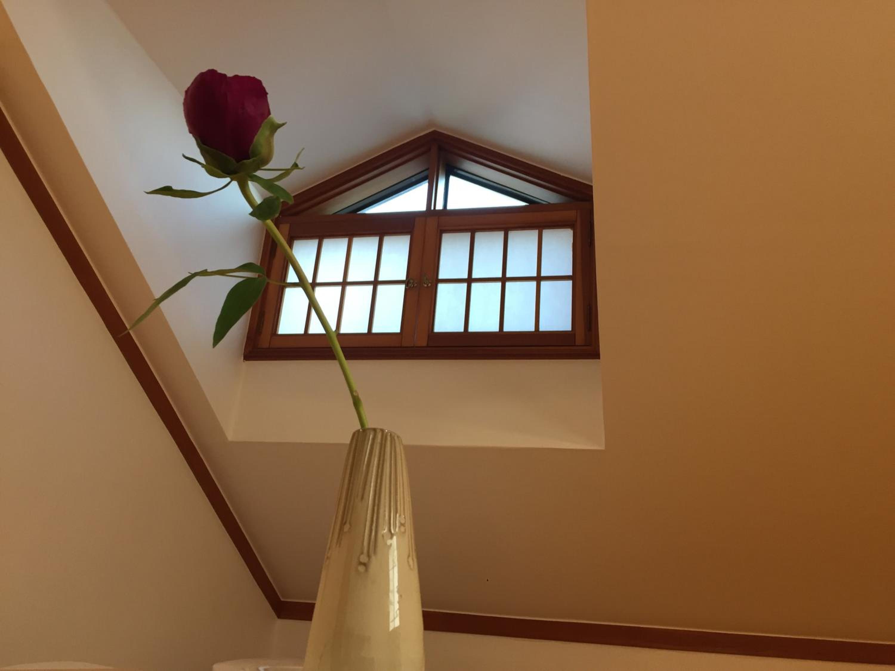 Deluxe Suite - Photo 39