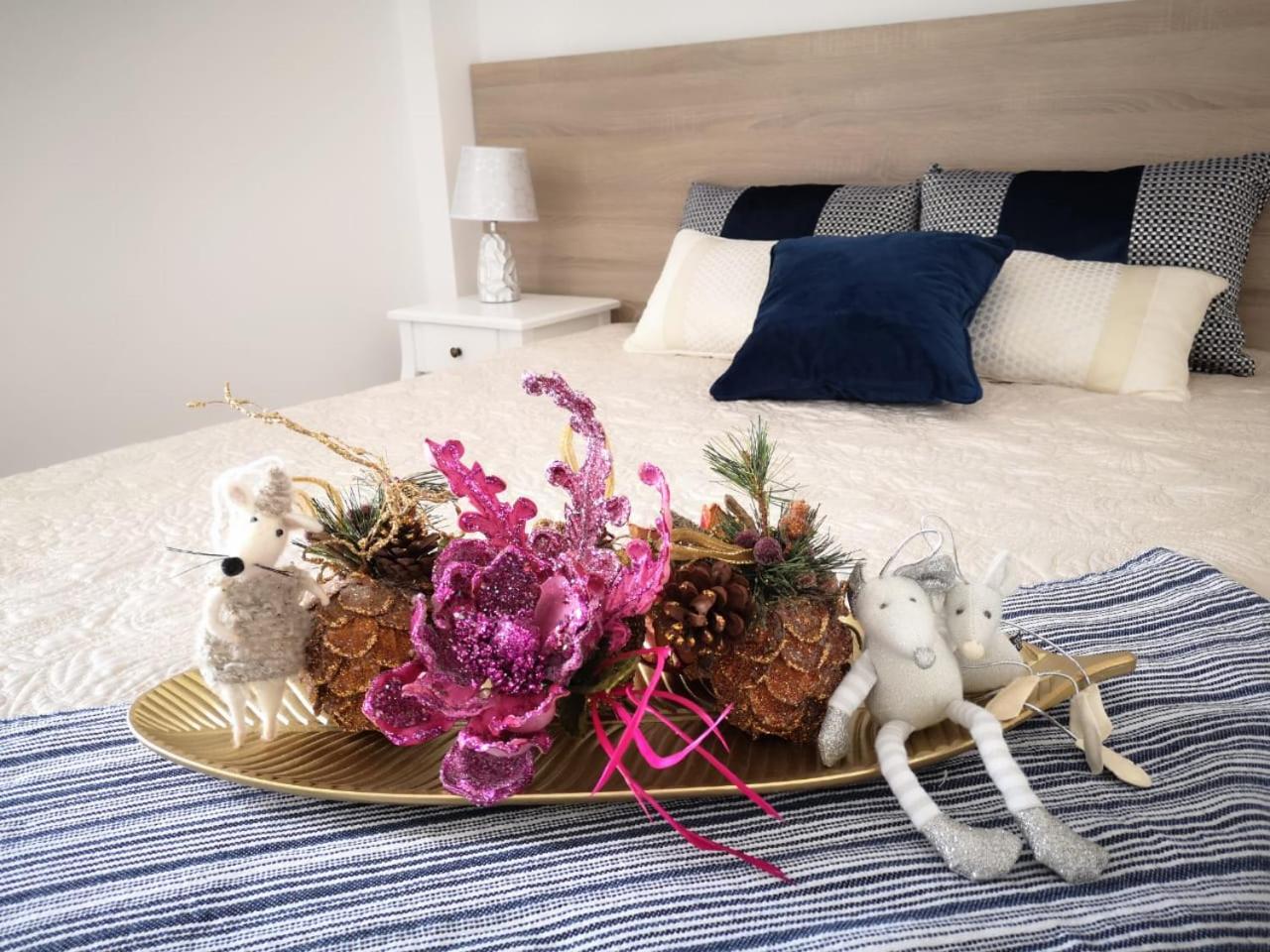 Superior Apartment - Photo 1
