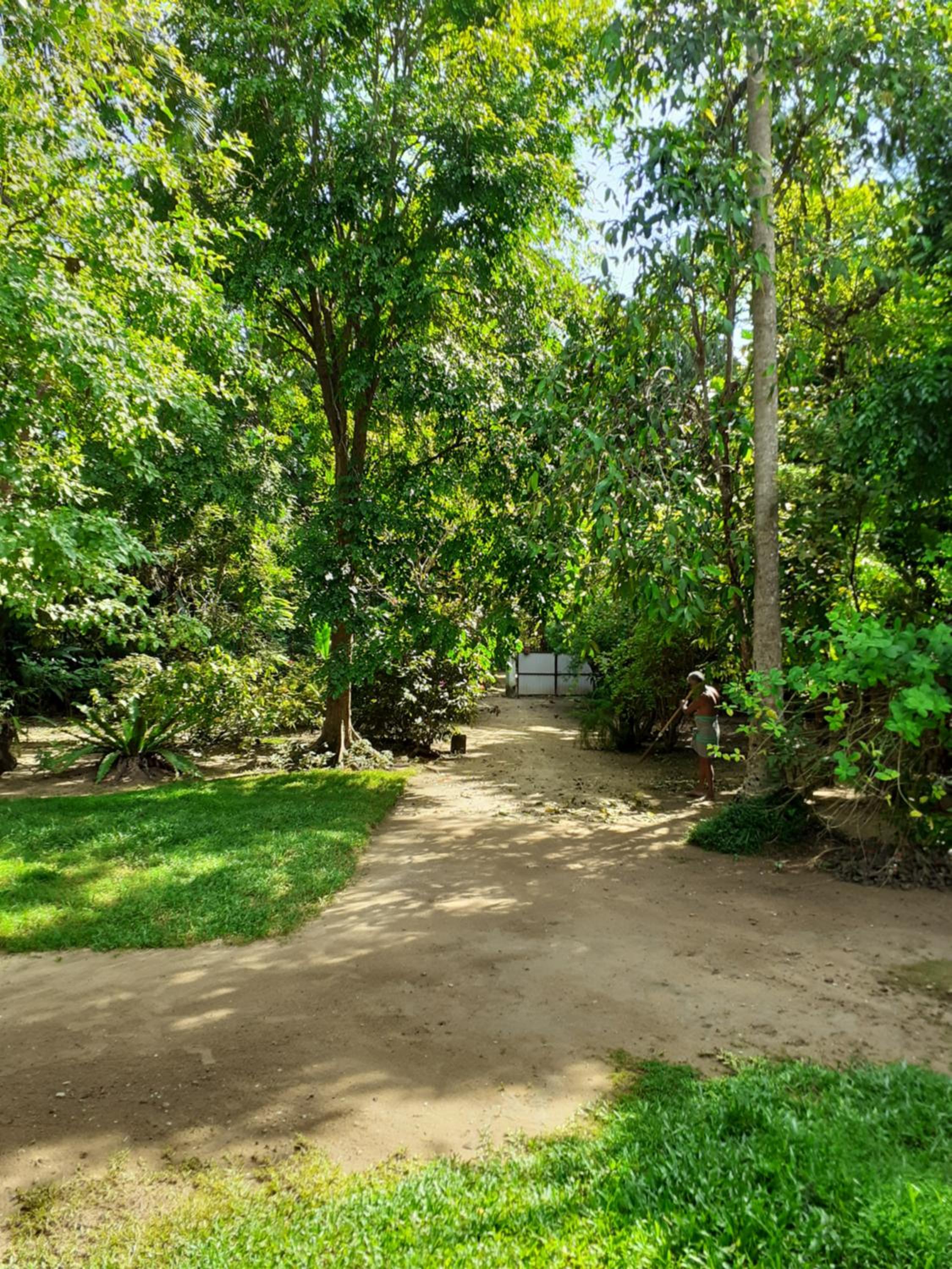Double Room with Garden View photo 3