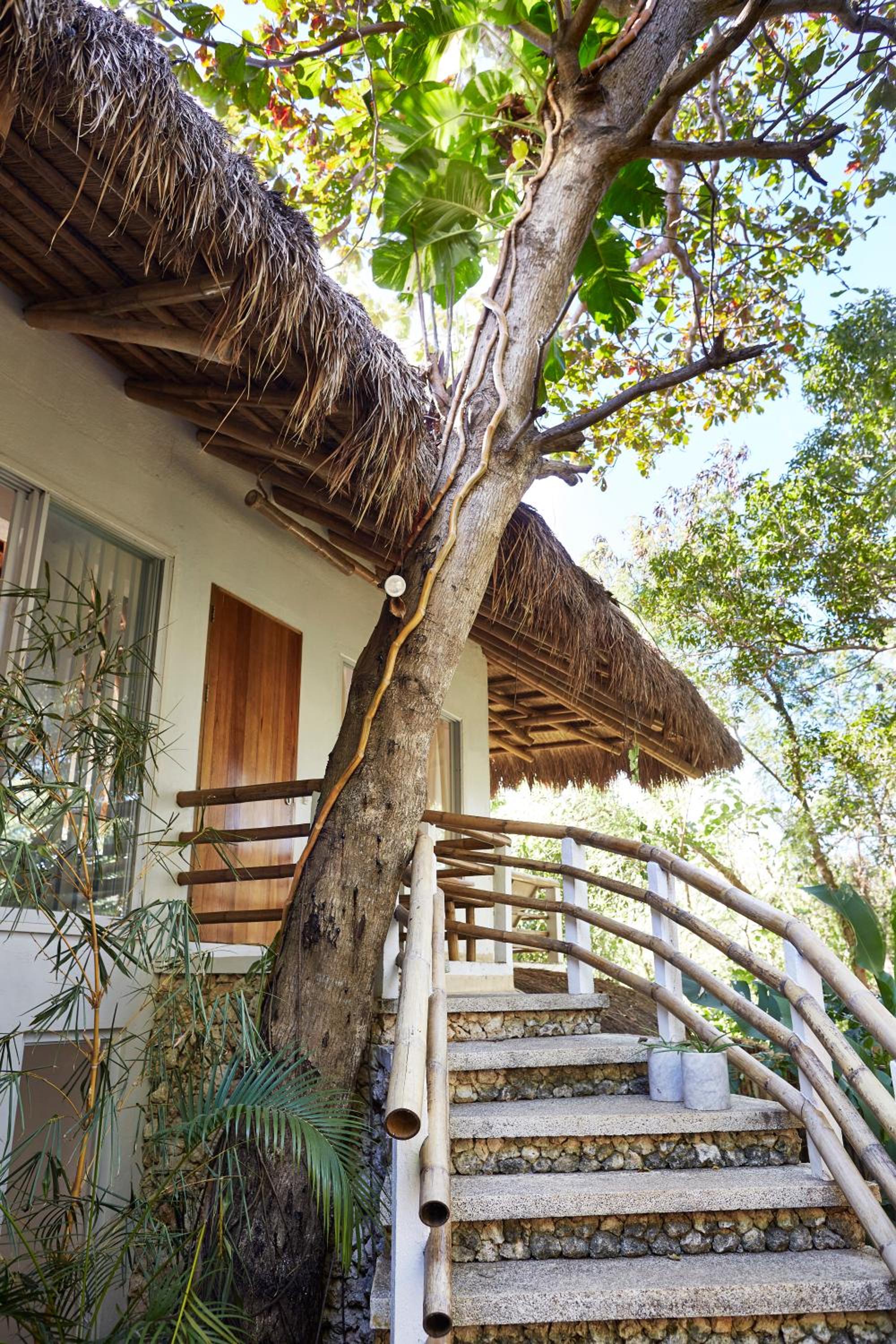 Tree Villa