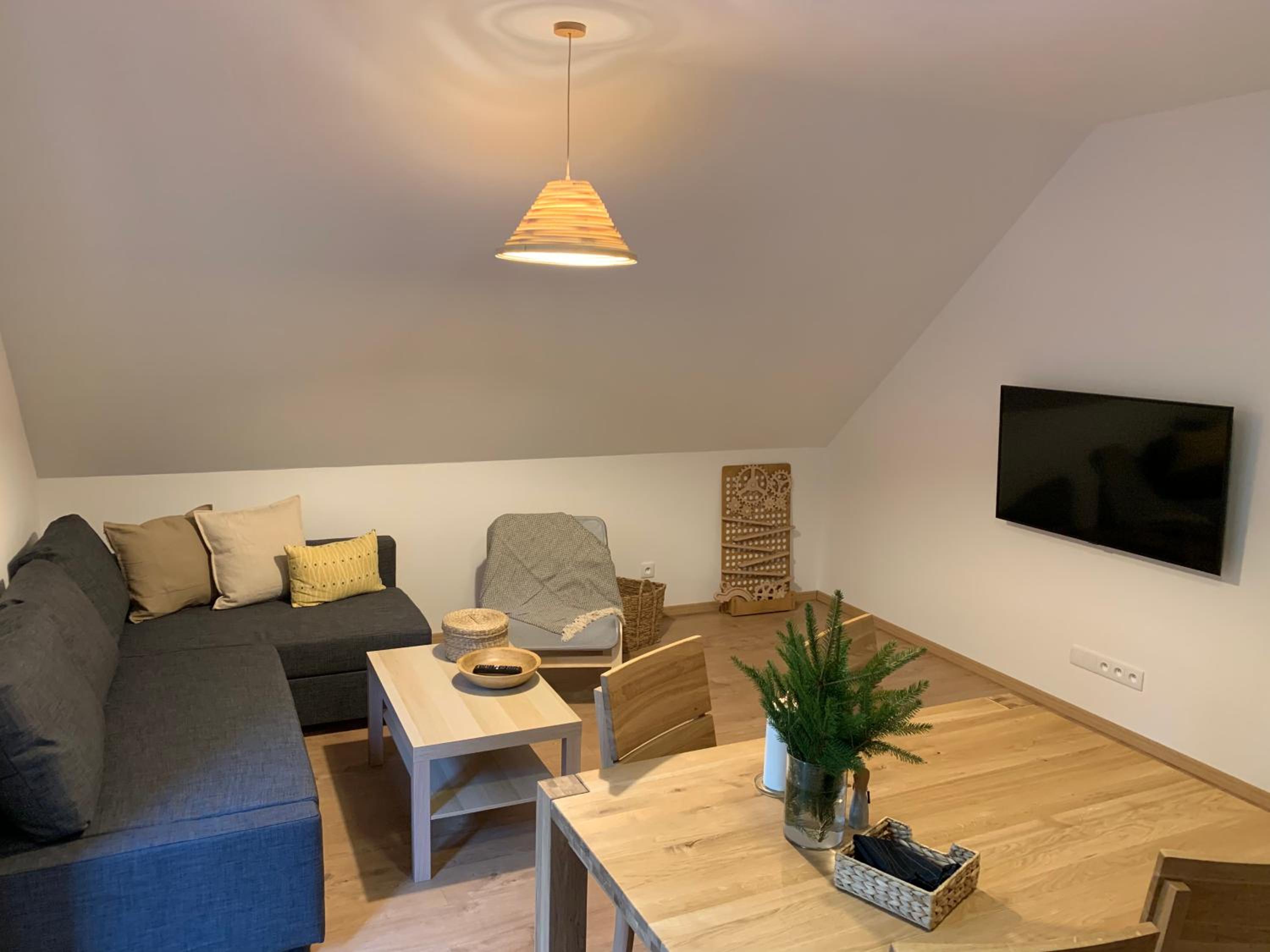 One-bedroom Loft Apartment
