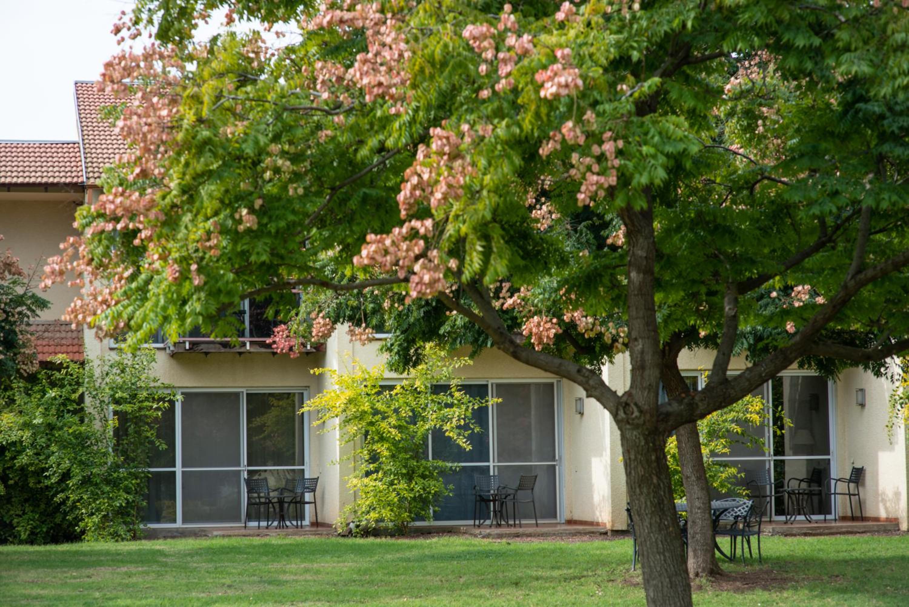 Classic Garden Room with Terrace - Photo 6