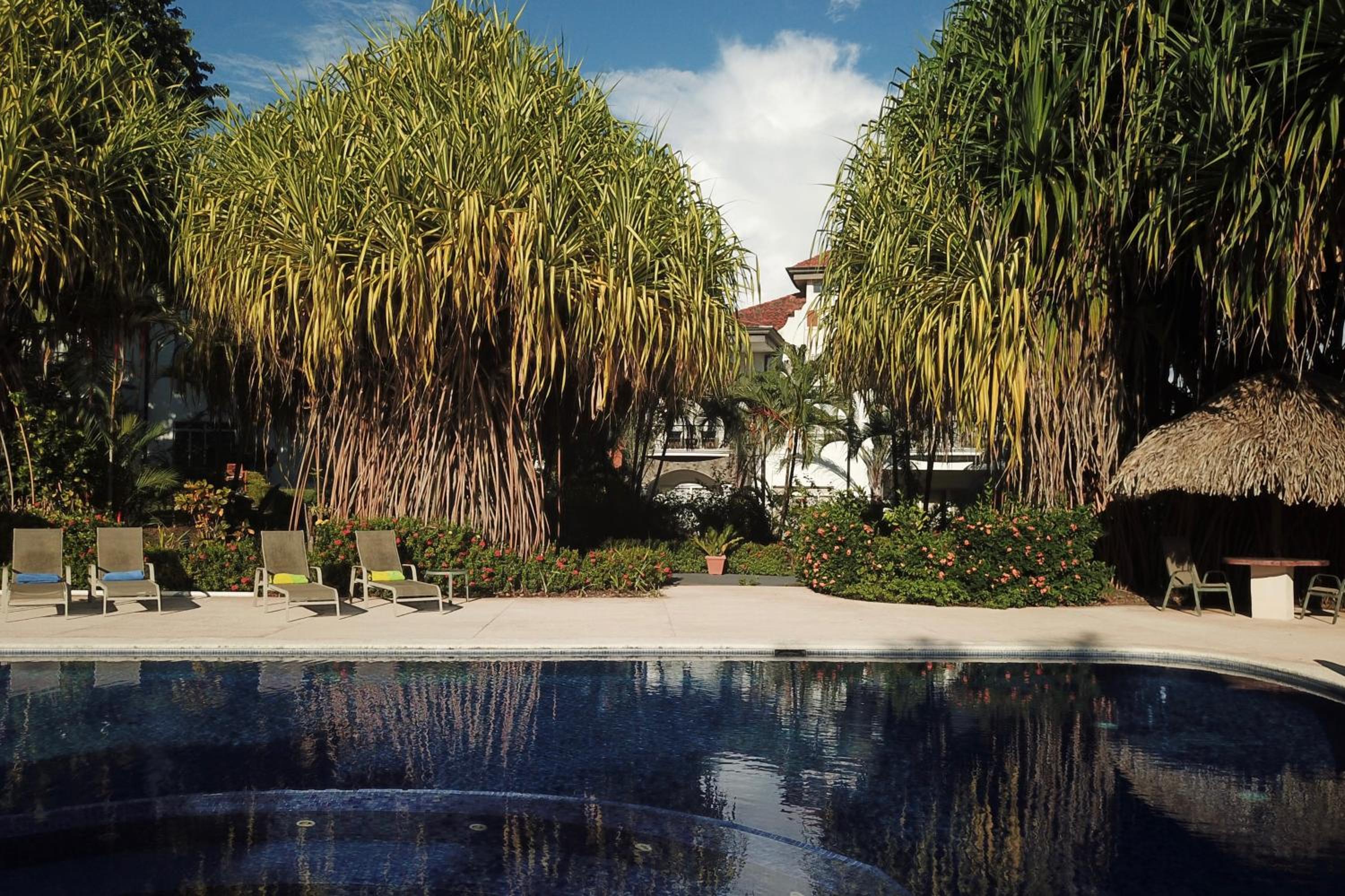 Luxury Condominium with Pool View  photo 2