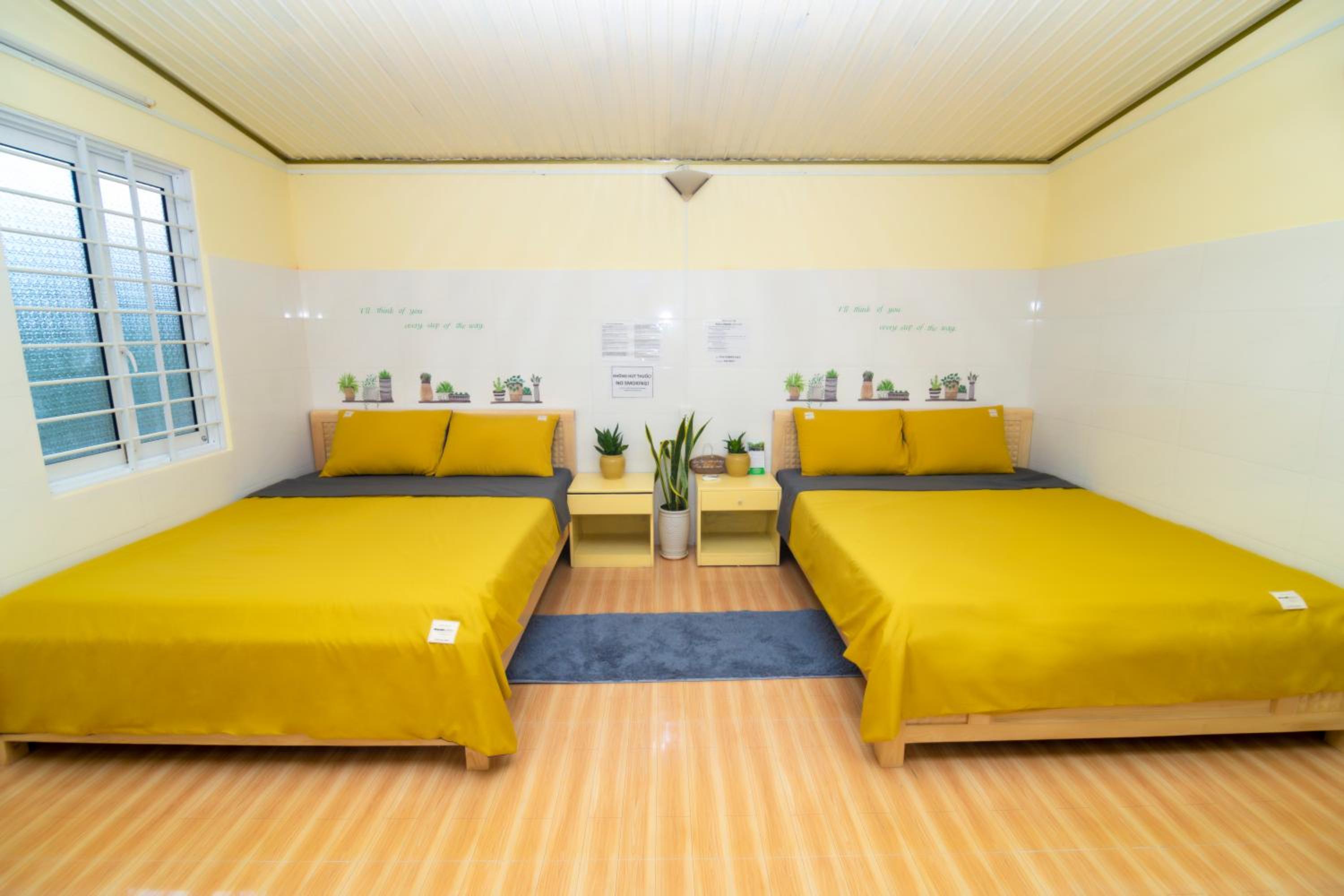 King Room photo 1