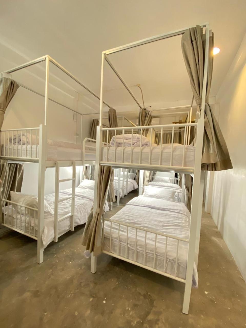 Bunk Bed in Mixed Dormitory Room photo 1