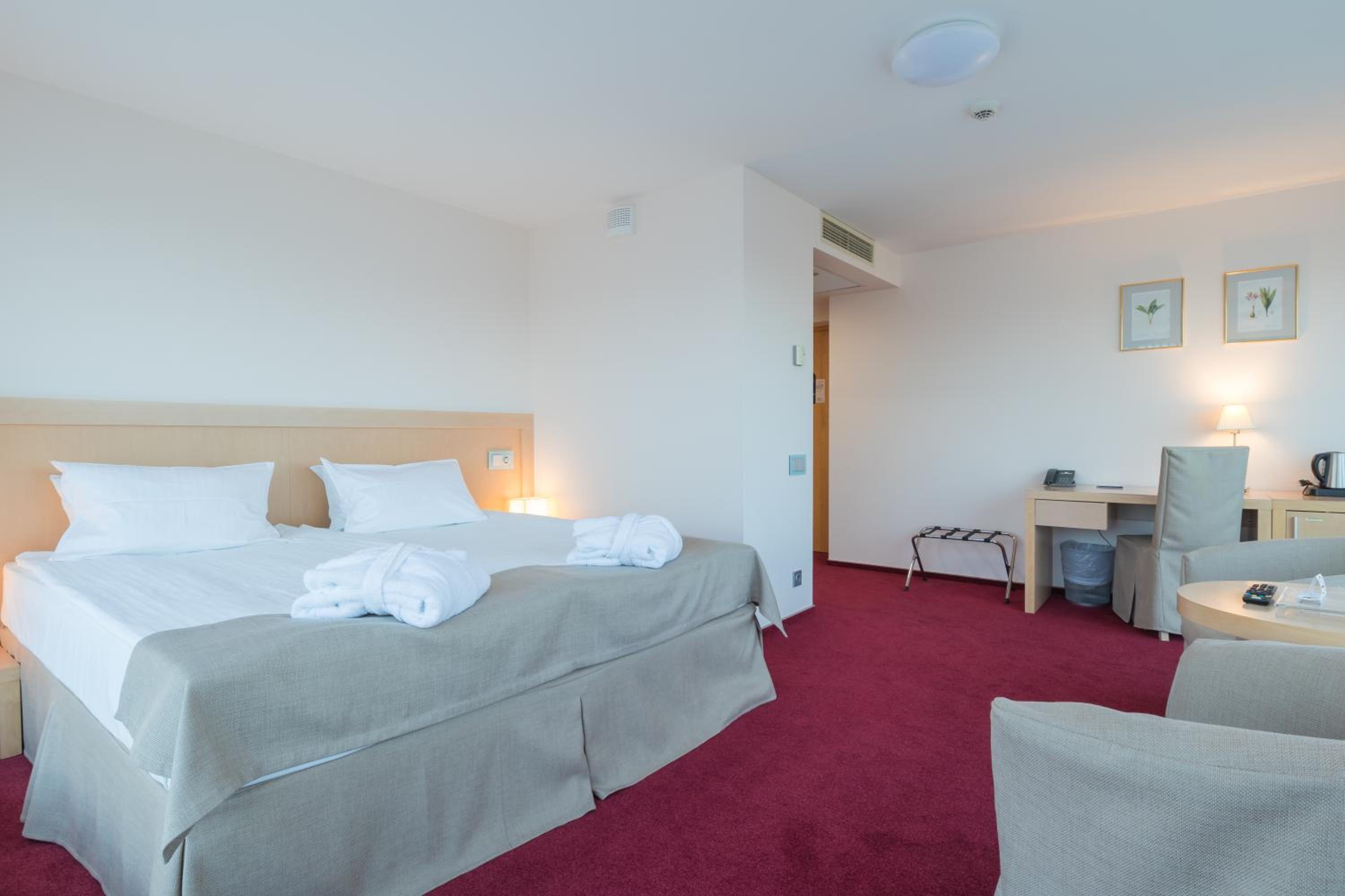 Deluxe Double Room with Gym Access - Photo 4