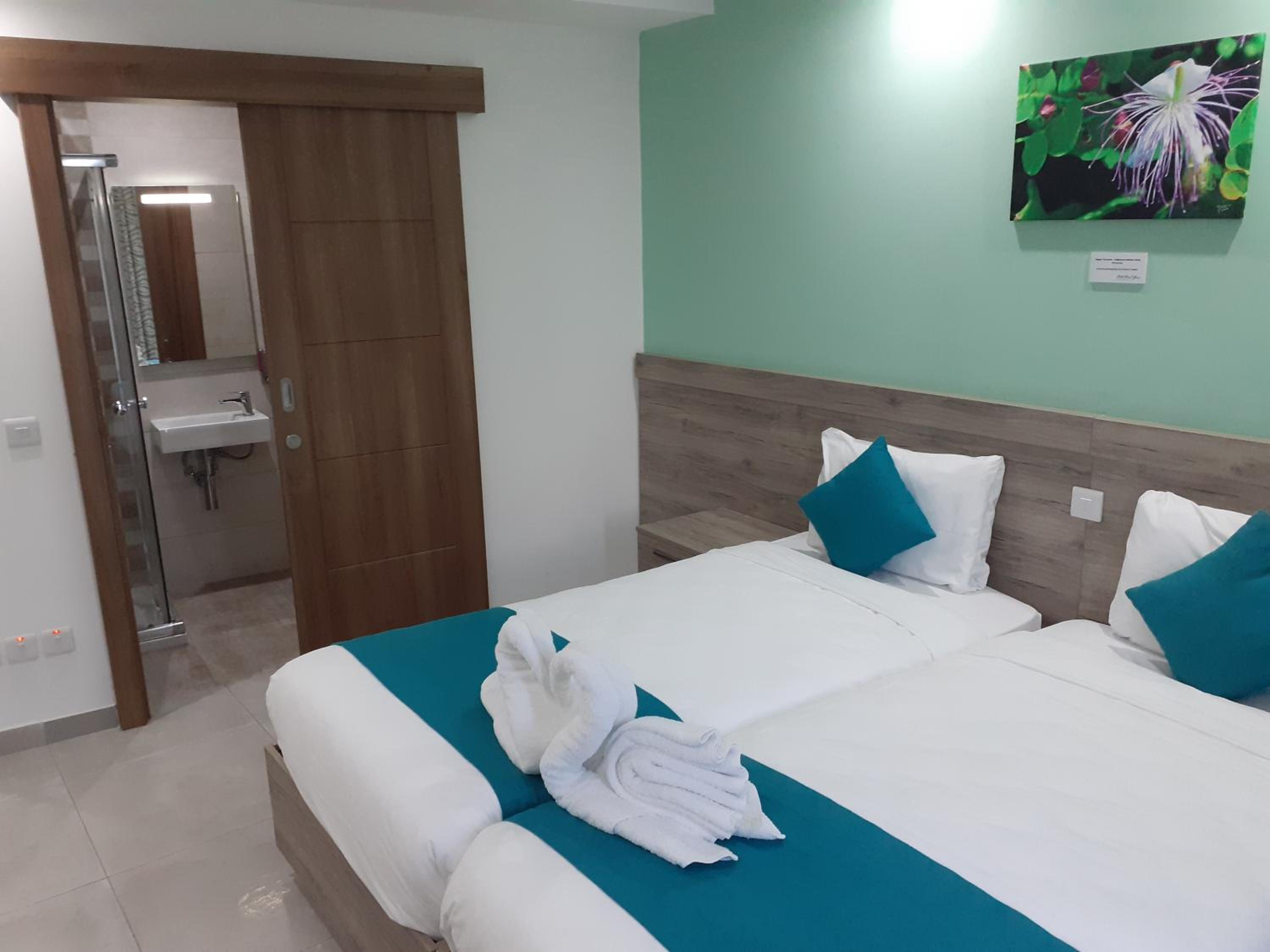 Deluxe Double or Twin Room with City View - Photo 21