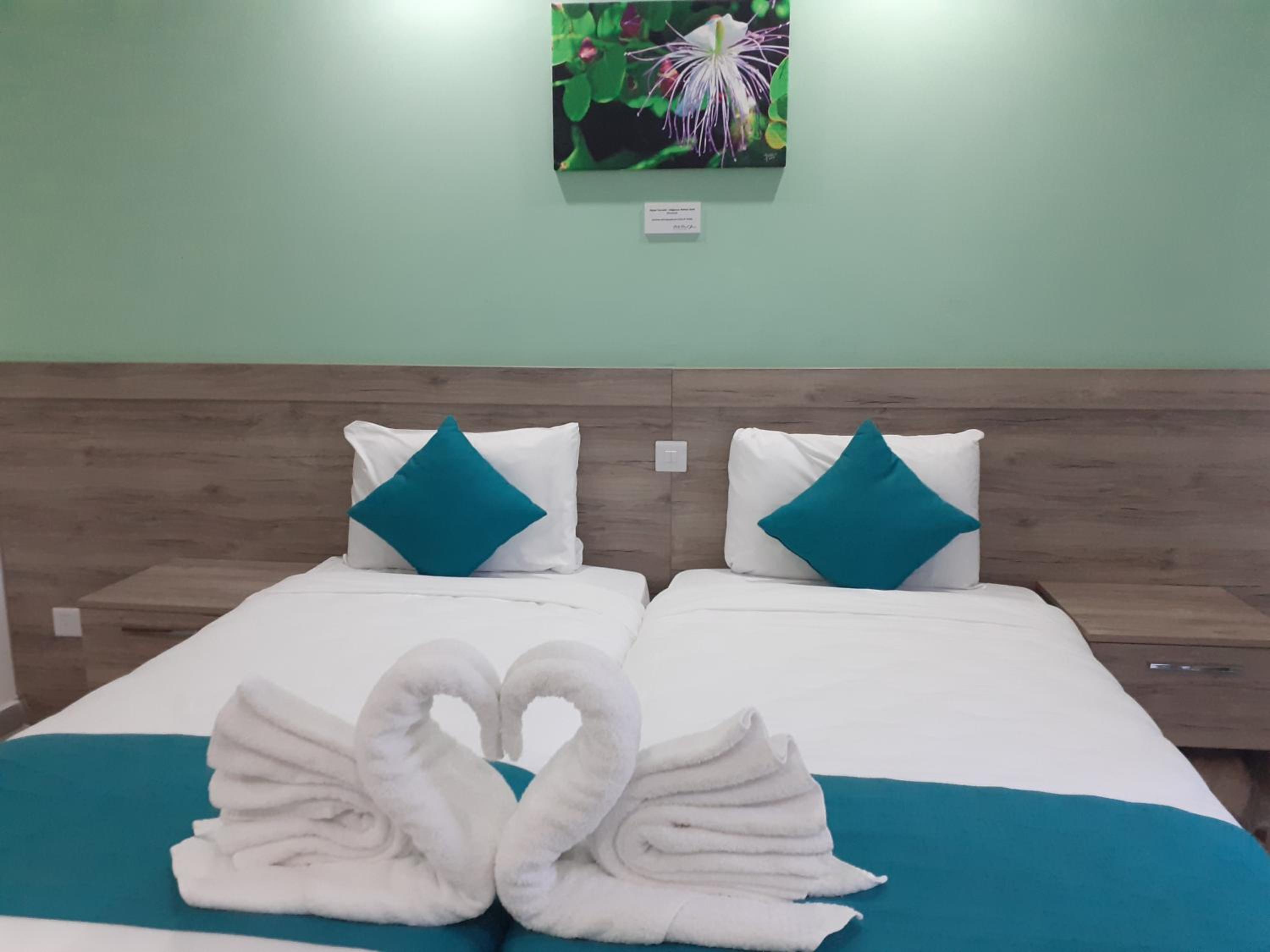 Deluxe Double or Twin Room with City View - Photo 4