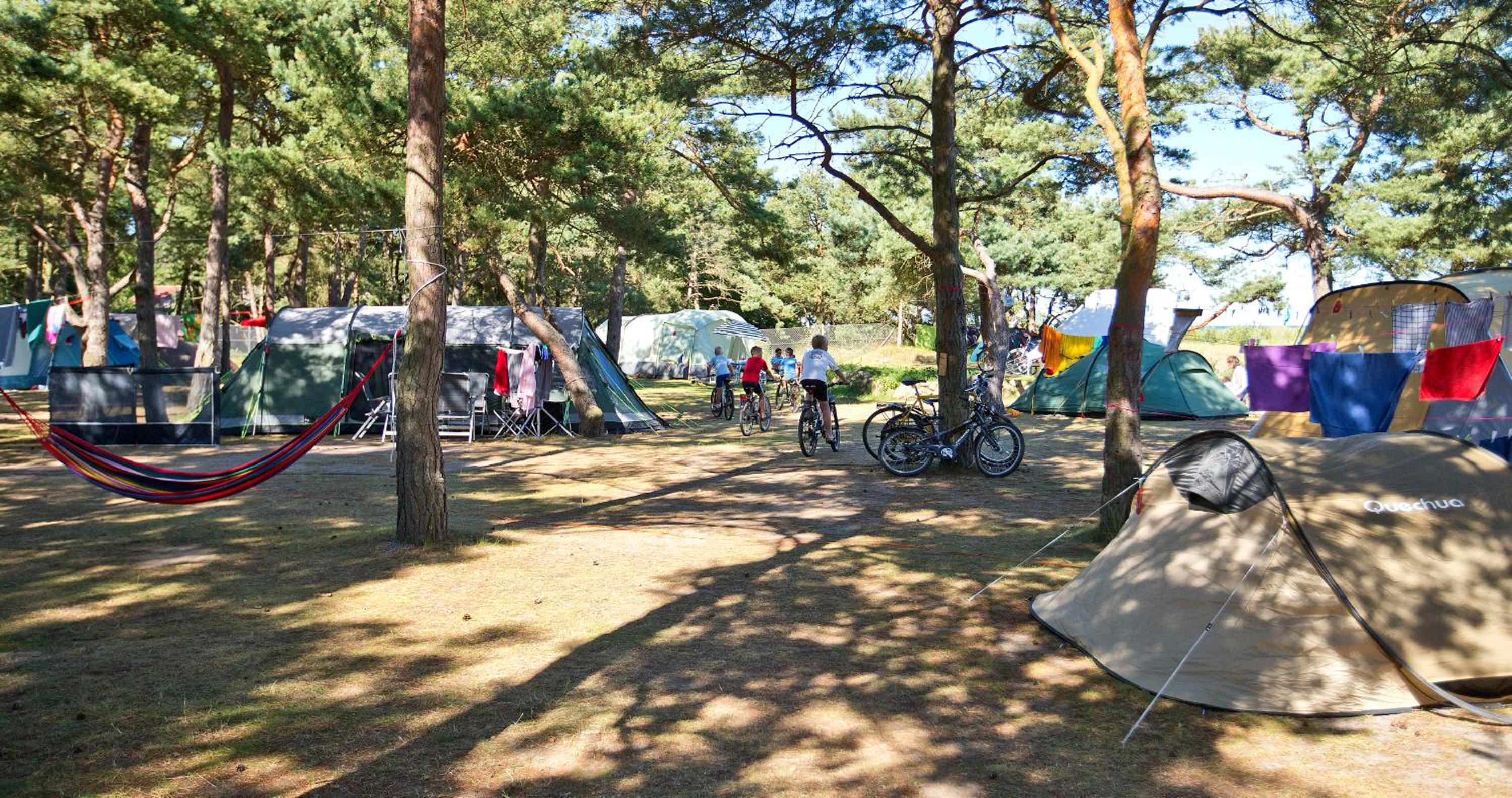 Basic Tent Site, NO electricity (Bring your own tent) - Photo 2