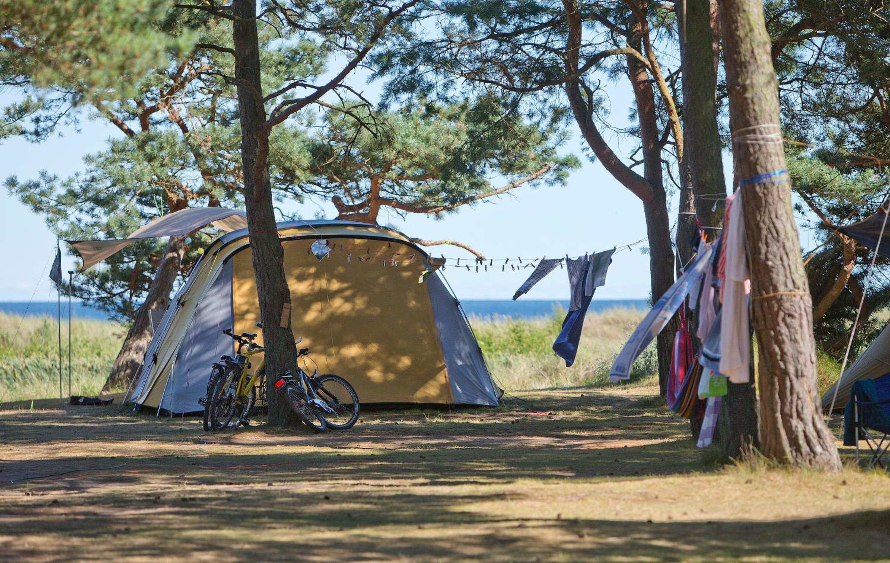 Basic Tent Site, NO electricity (Bring your own tent) - Photo 3