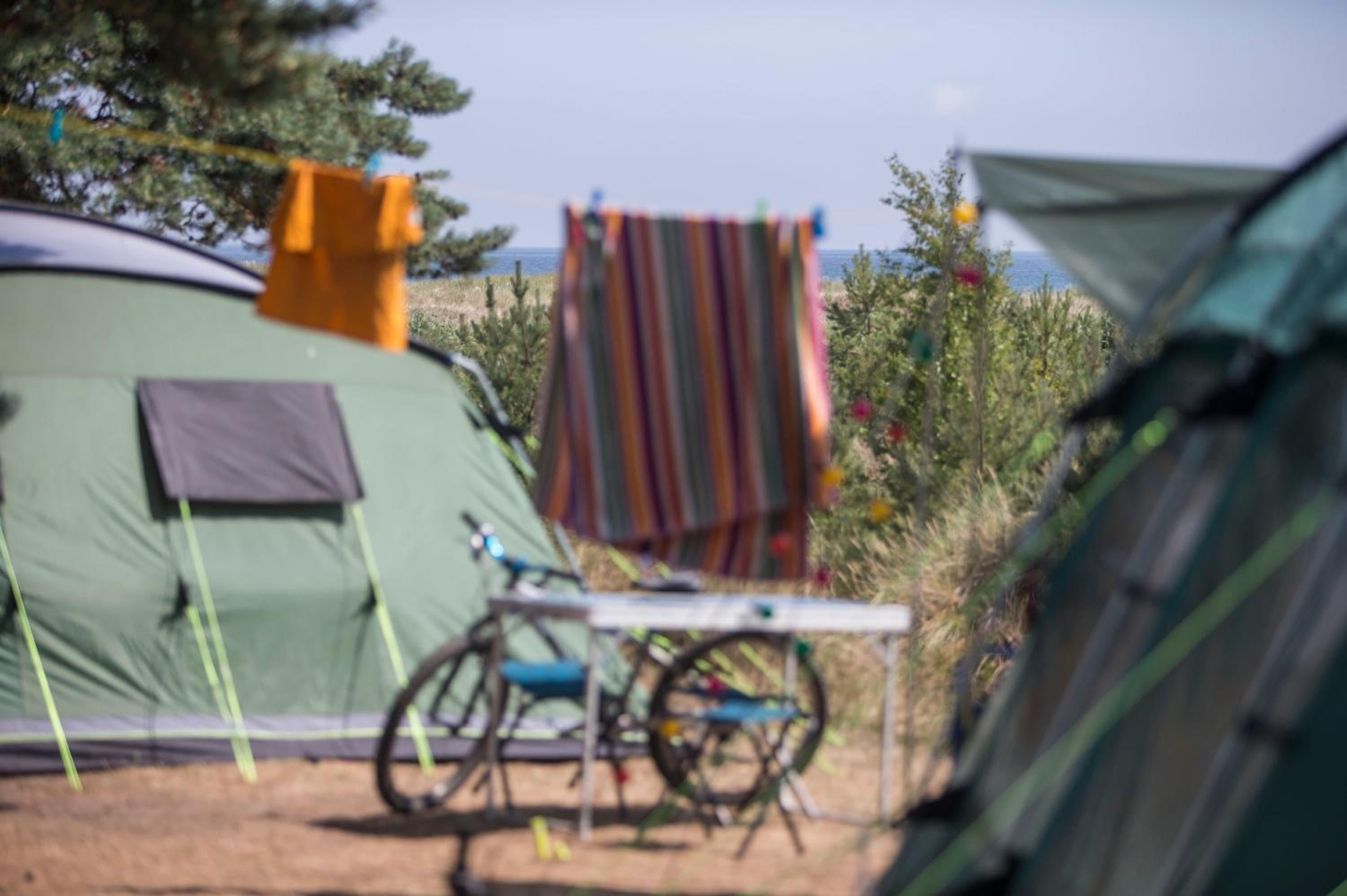 Basic Tent Site, NO electricity (Bring your own tent) - Photo 1