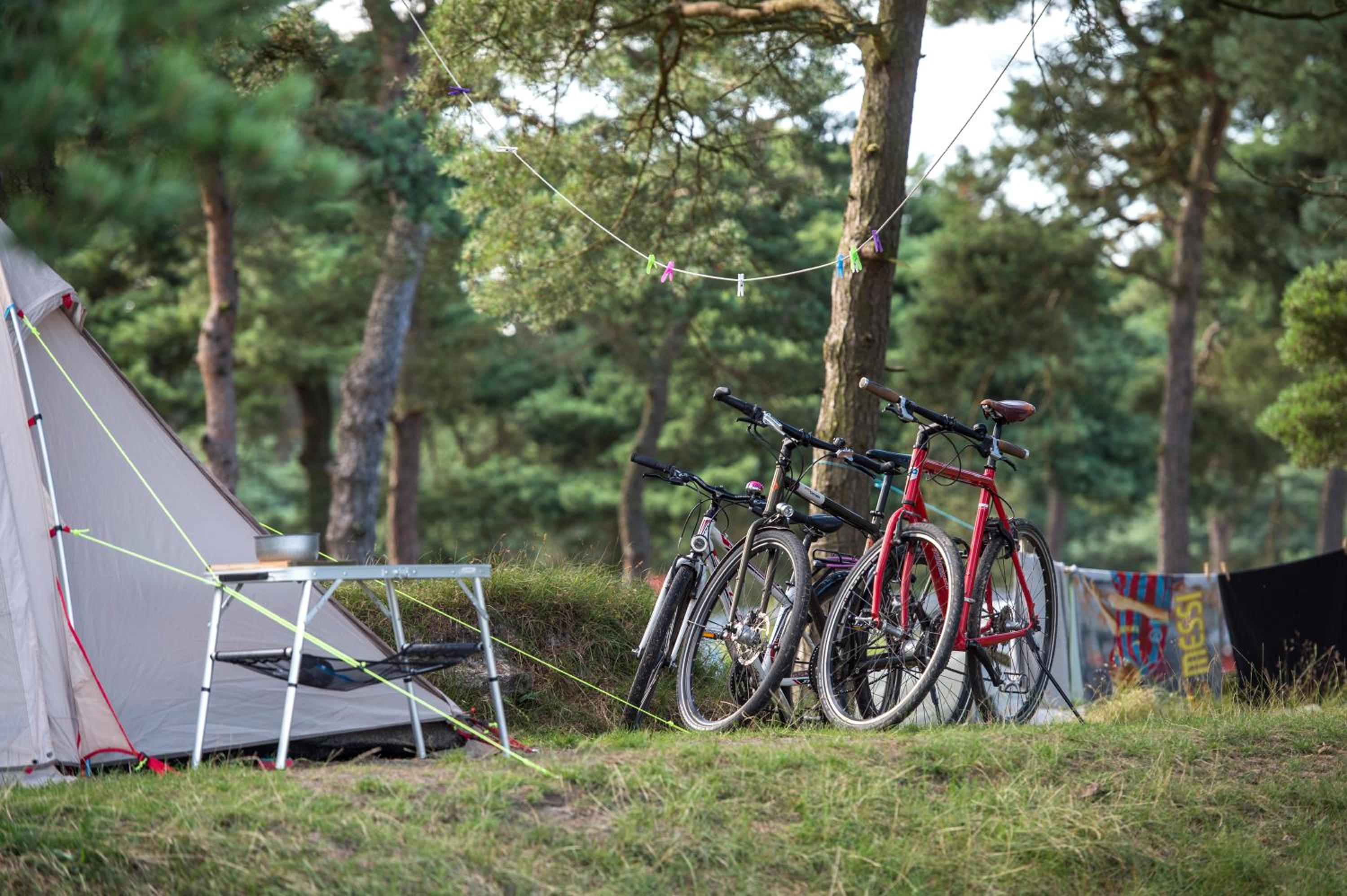 Basic Tent site incl. electricity (bring your own tent) - Photo 5
