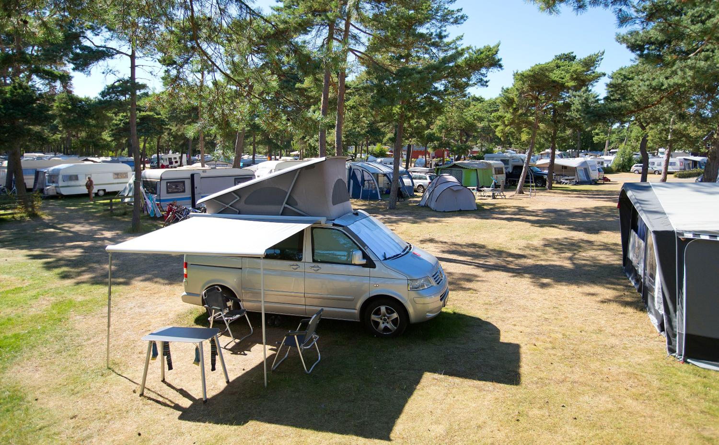 Basic Caravan Site NO electricity (bring your own caravan) - Photo 4