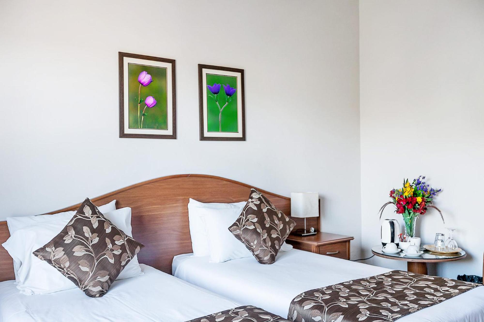 Standard Room with Twin Bed