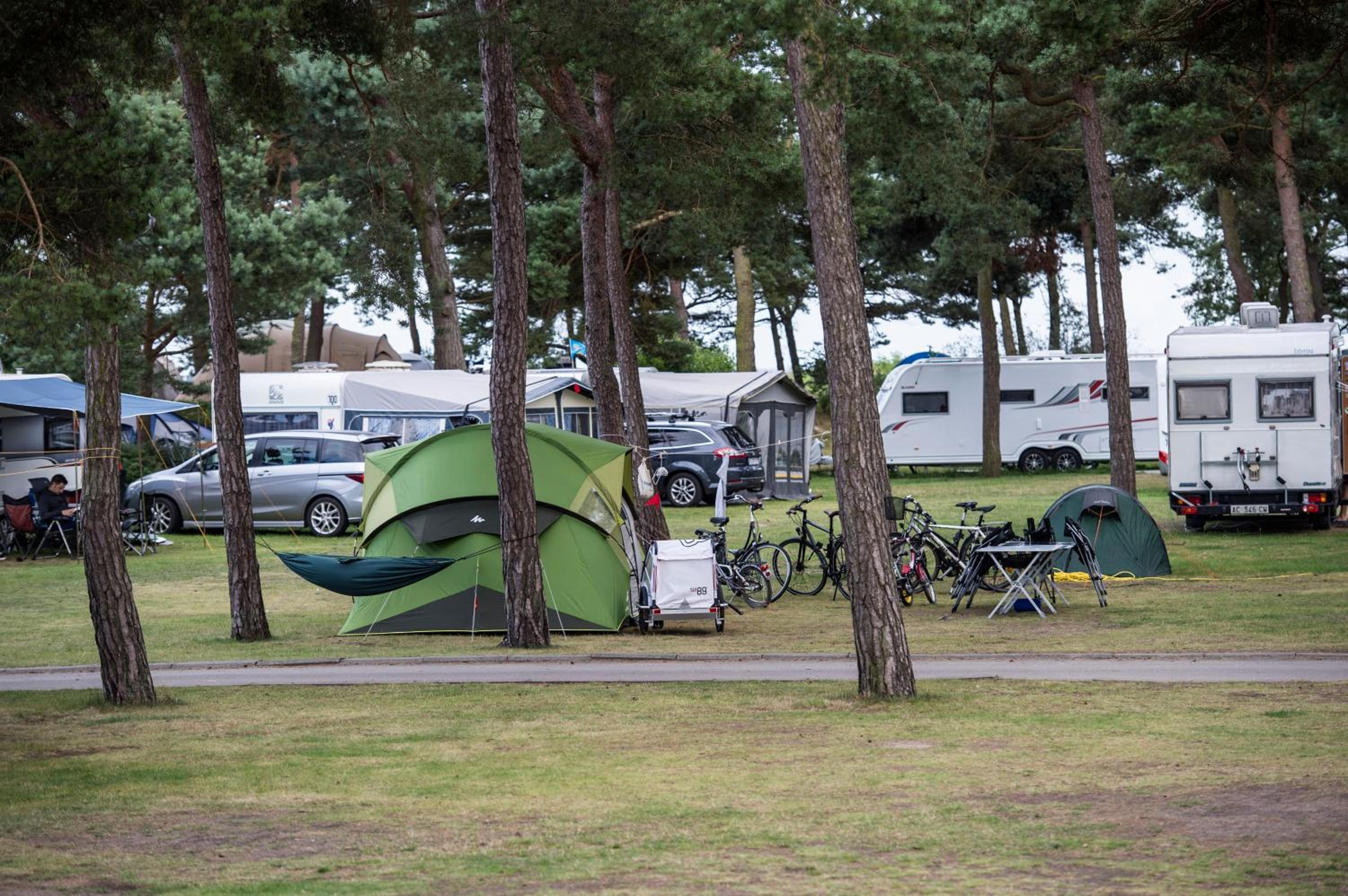 Basic Caravan Site NO electricity (bring your own caravan) - Photo 2